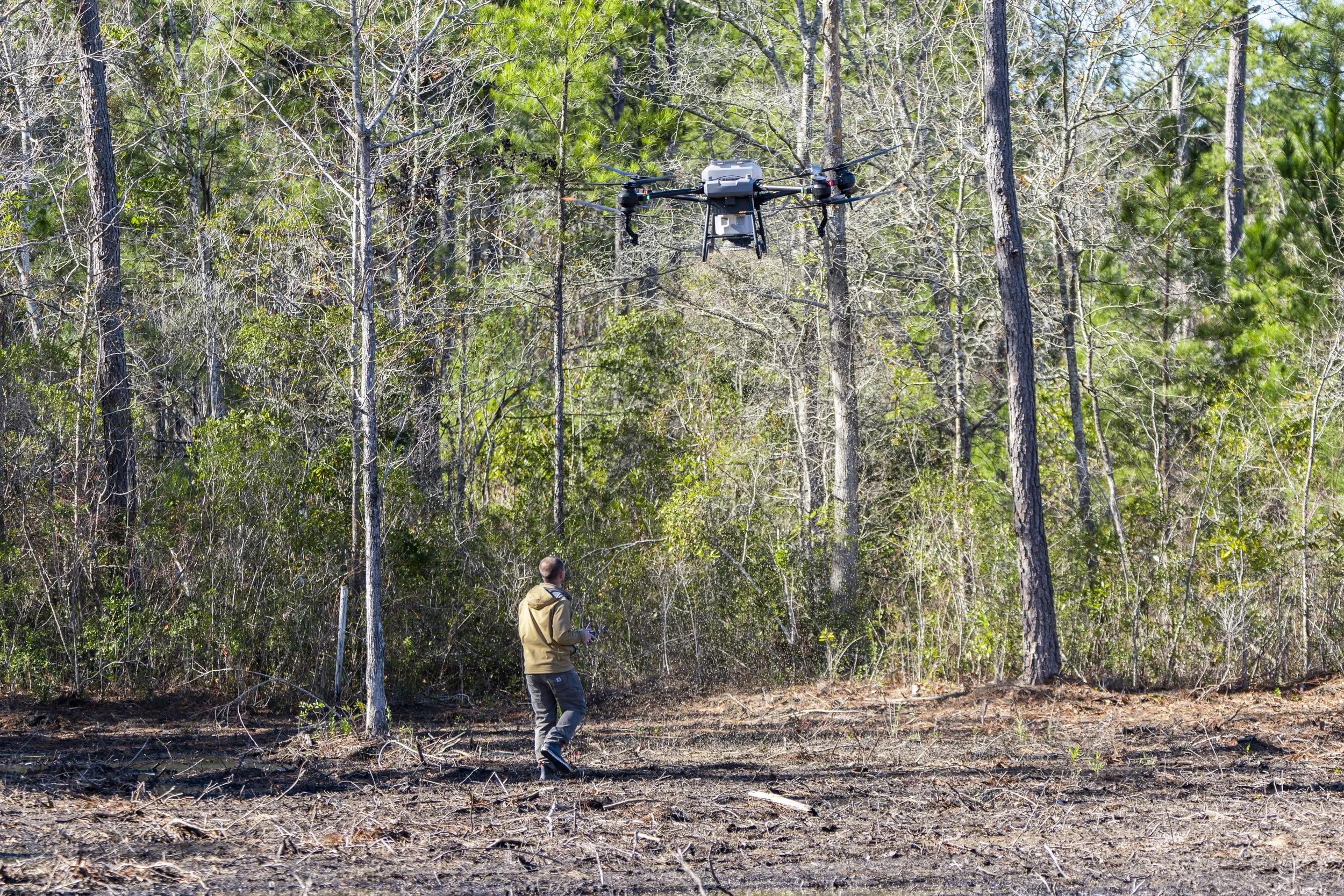 A person operating a drone in a wooded area with trees and shrubs, some with bare branches and others with green leaves.