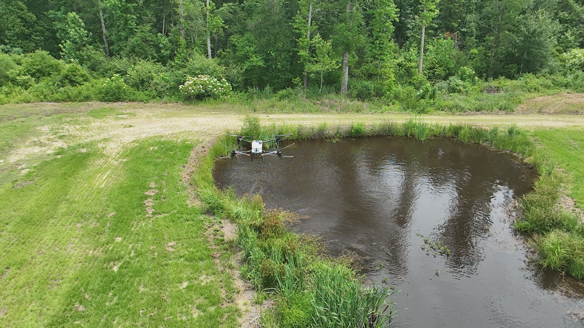 A drone flying over a small pond in a grassy area surrounded by trees and bushes.