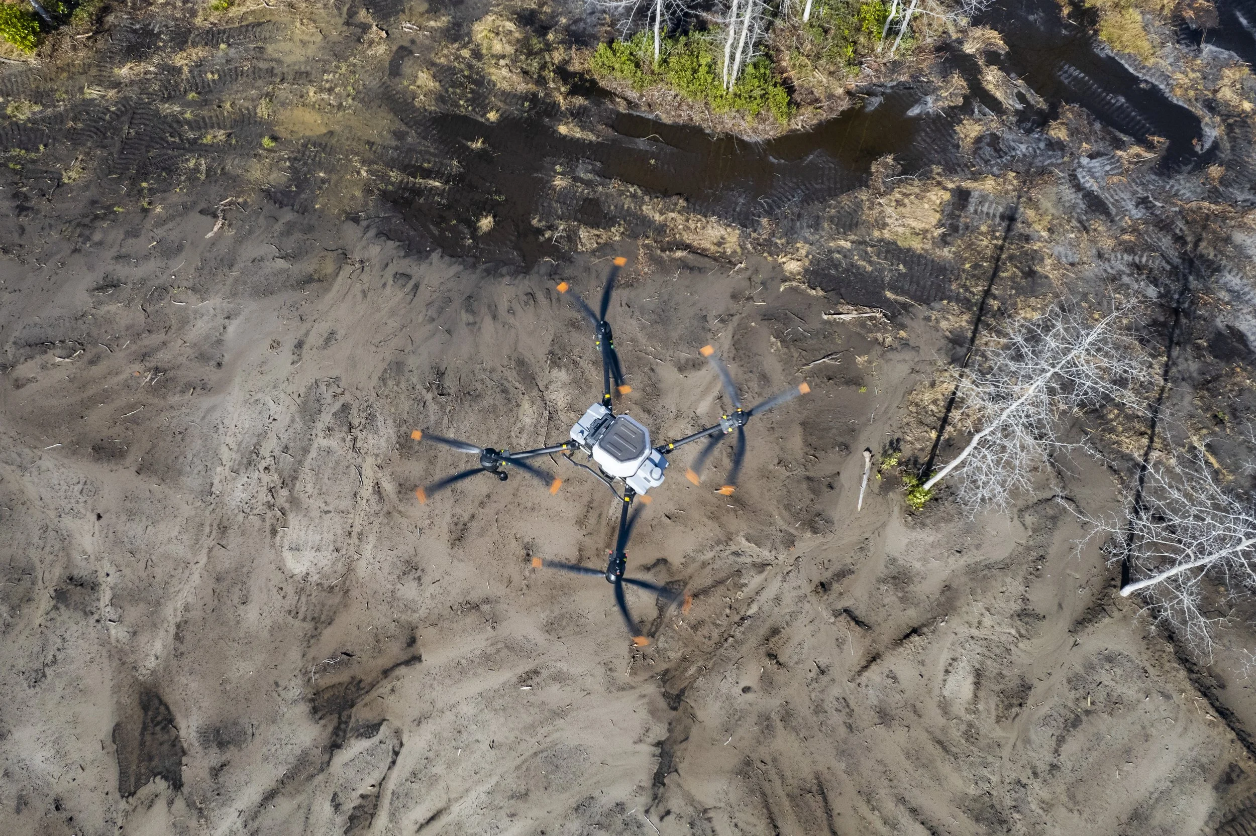 An aerial view of a drone flying over a dirt clearing in a forest, with tire marks and footpath in the soil, surrounded by leafless trees and some green bushes.
