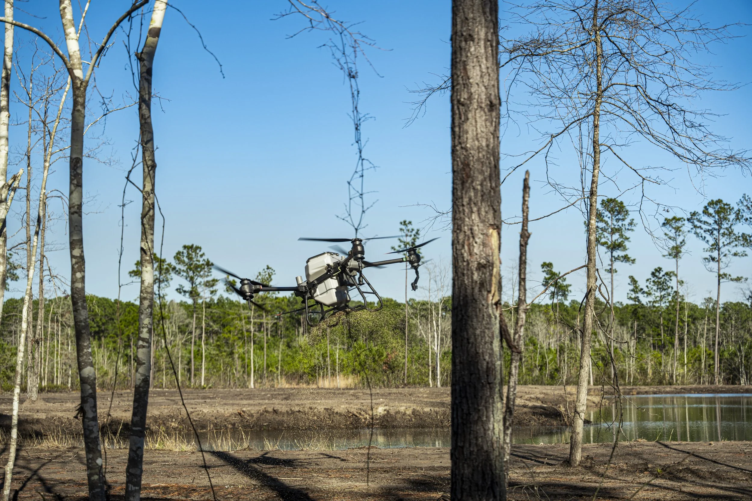 A drone flying through a forested area near a body of water, with trees and a blue sky in the background.