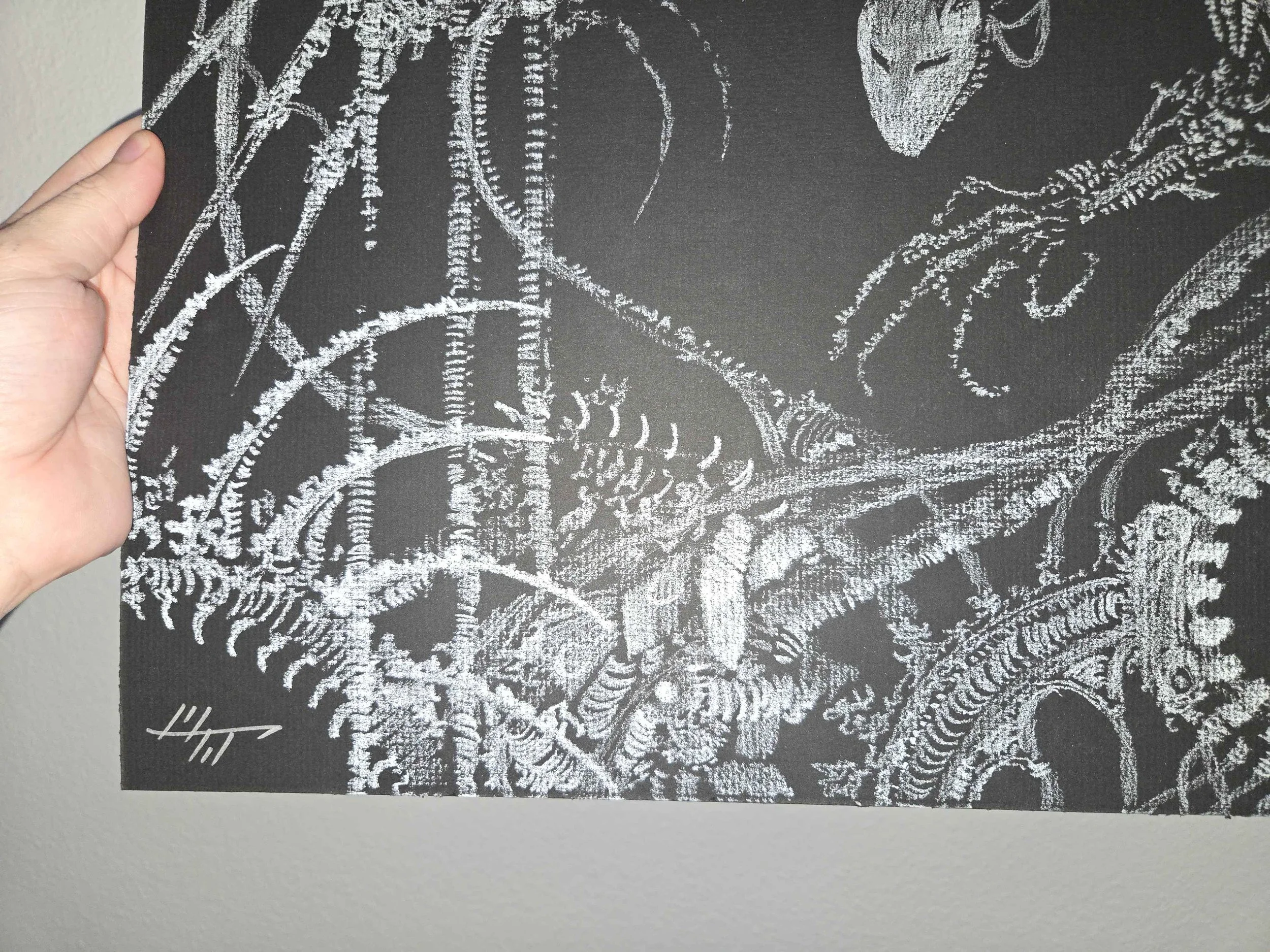 20260726_232437.jpg