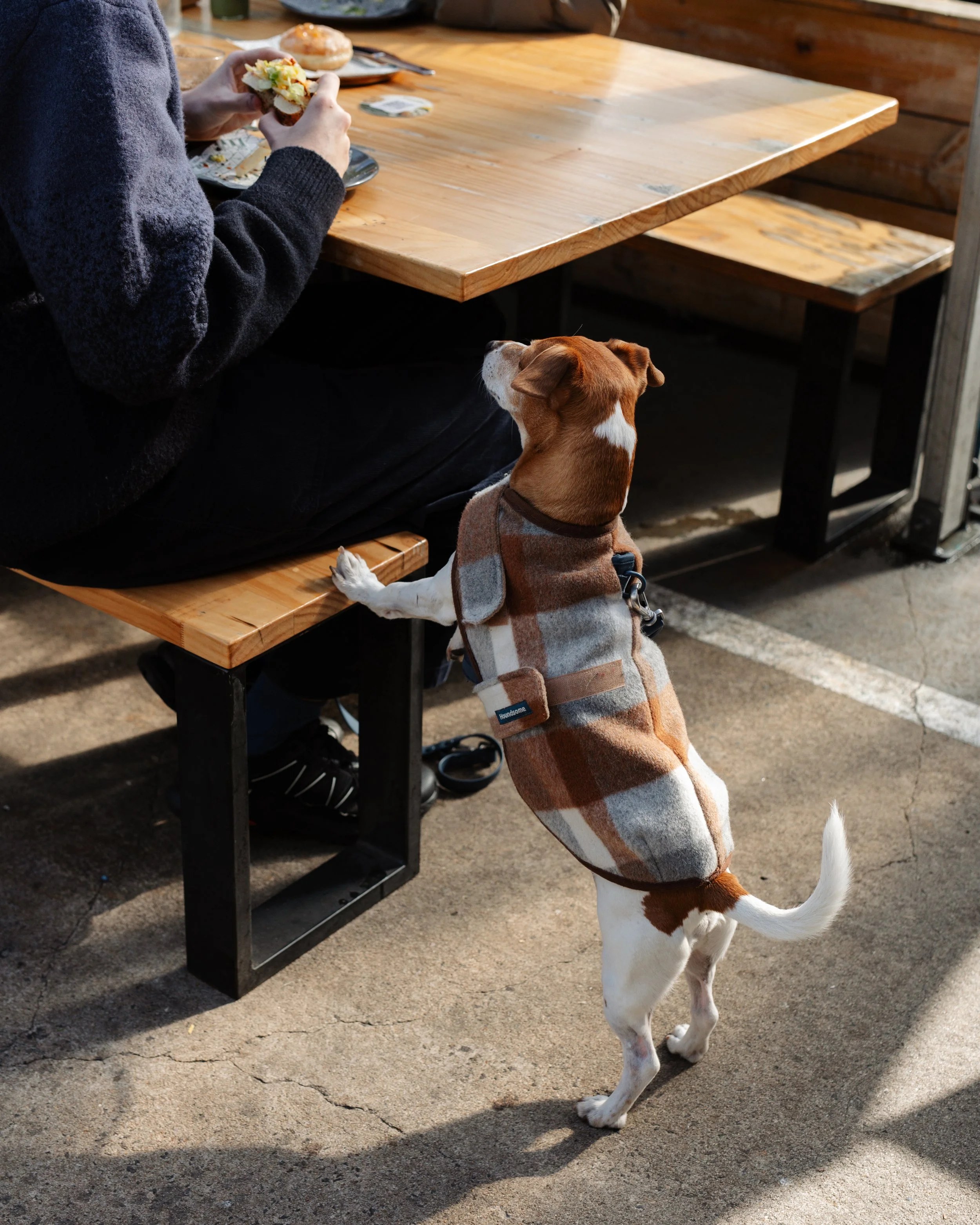 2608_MIGRANTCOFFEE_SAVVY_080.jpg