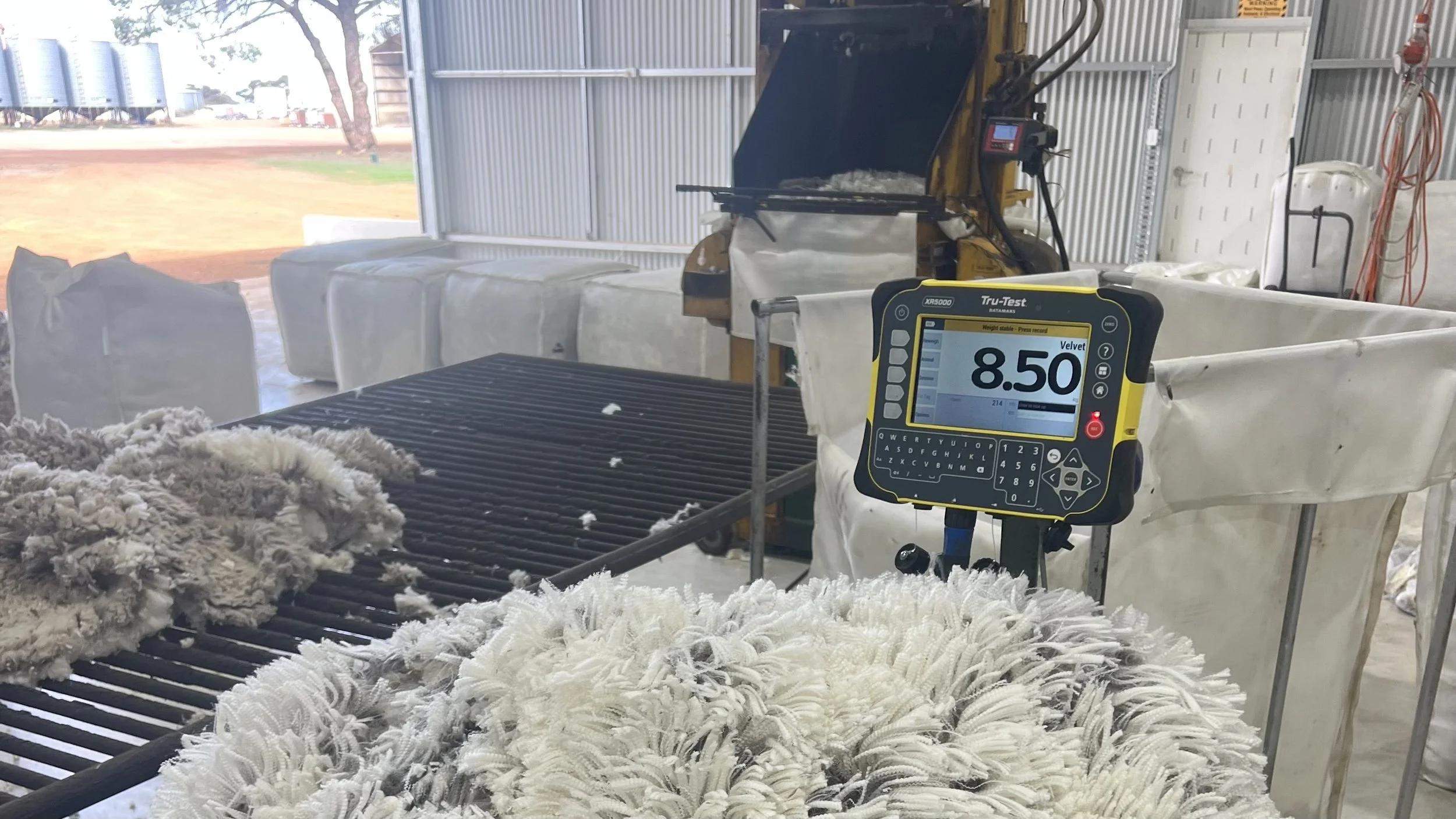 Inside a shearing shed, wool fleeces are being weighed with a digital scale showing 8.50 kilograms. Wool is spread on a wool table, and industrial equipment, metal walls, and outdoor scenery are visible in the background.