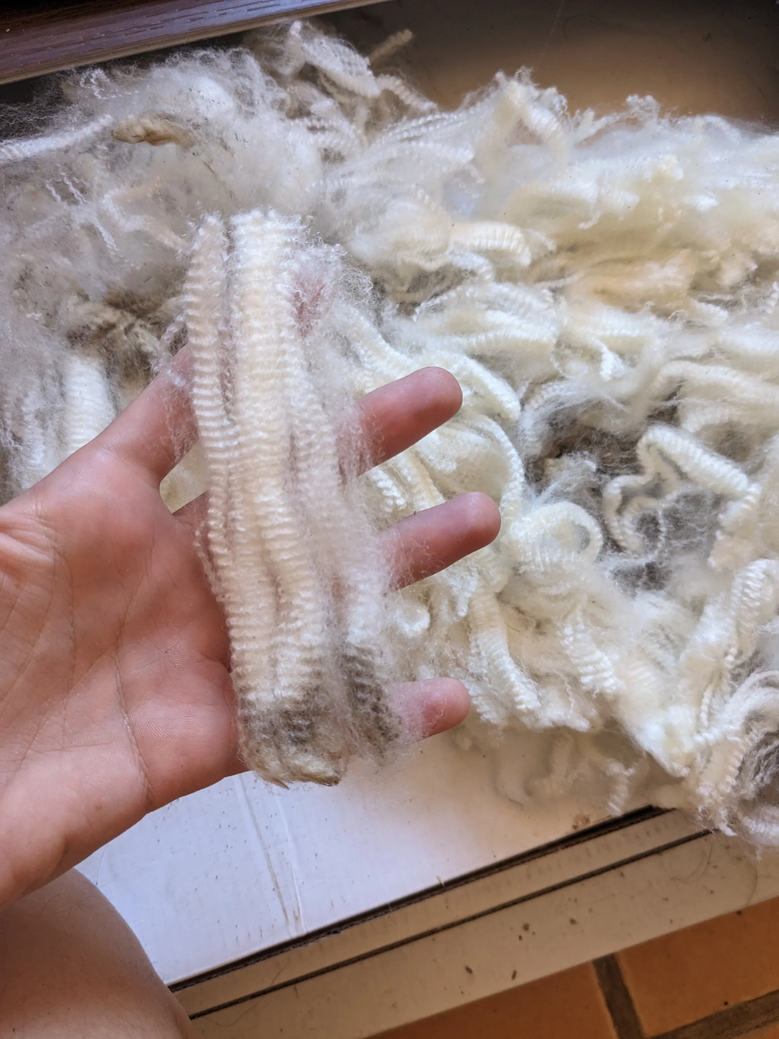 A close-up of a hand holding white yarn or fiber, with more of the fiber scattered on a flat surface below.