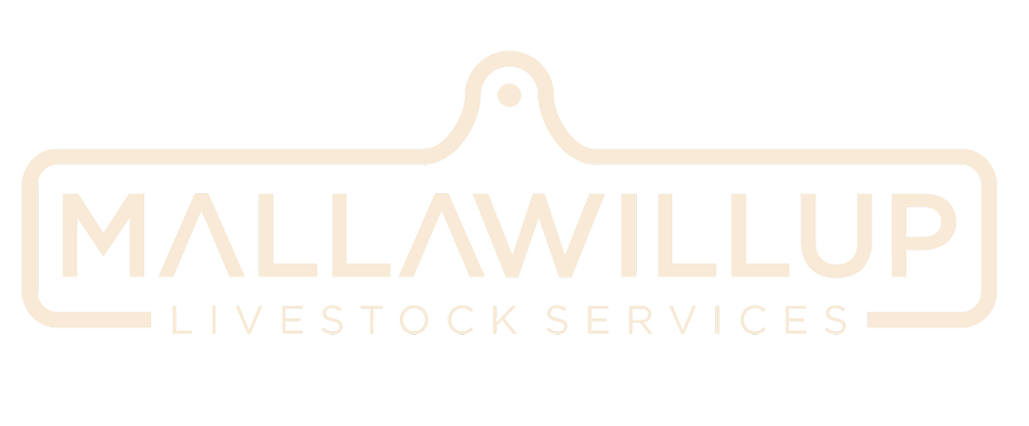 Mallawillup Livestock Services