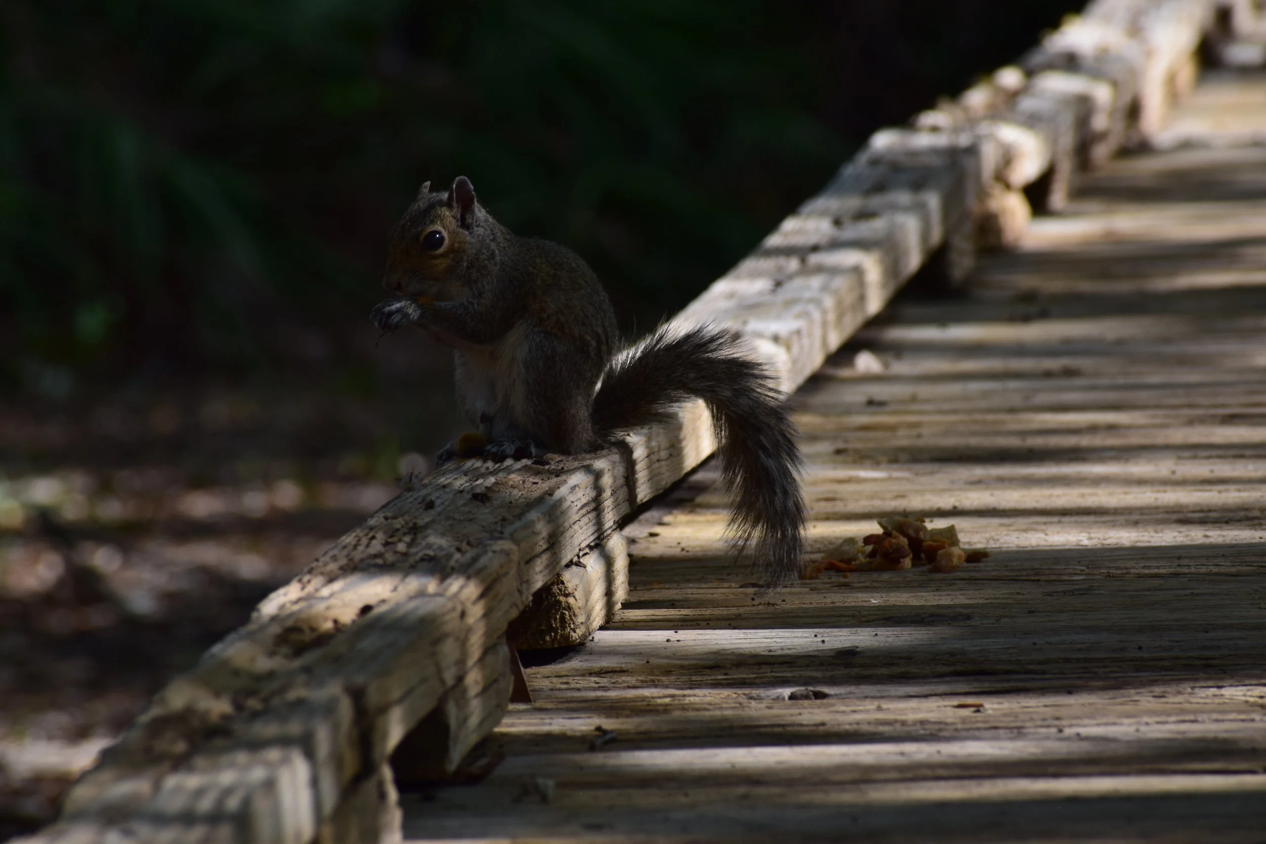 DSC_0846.JPG