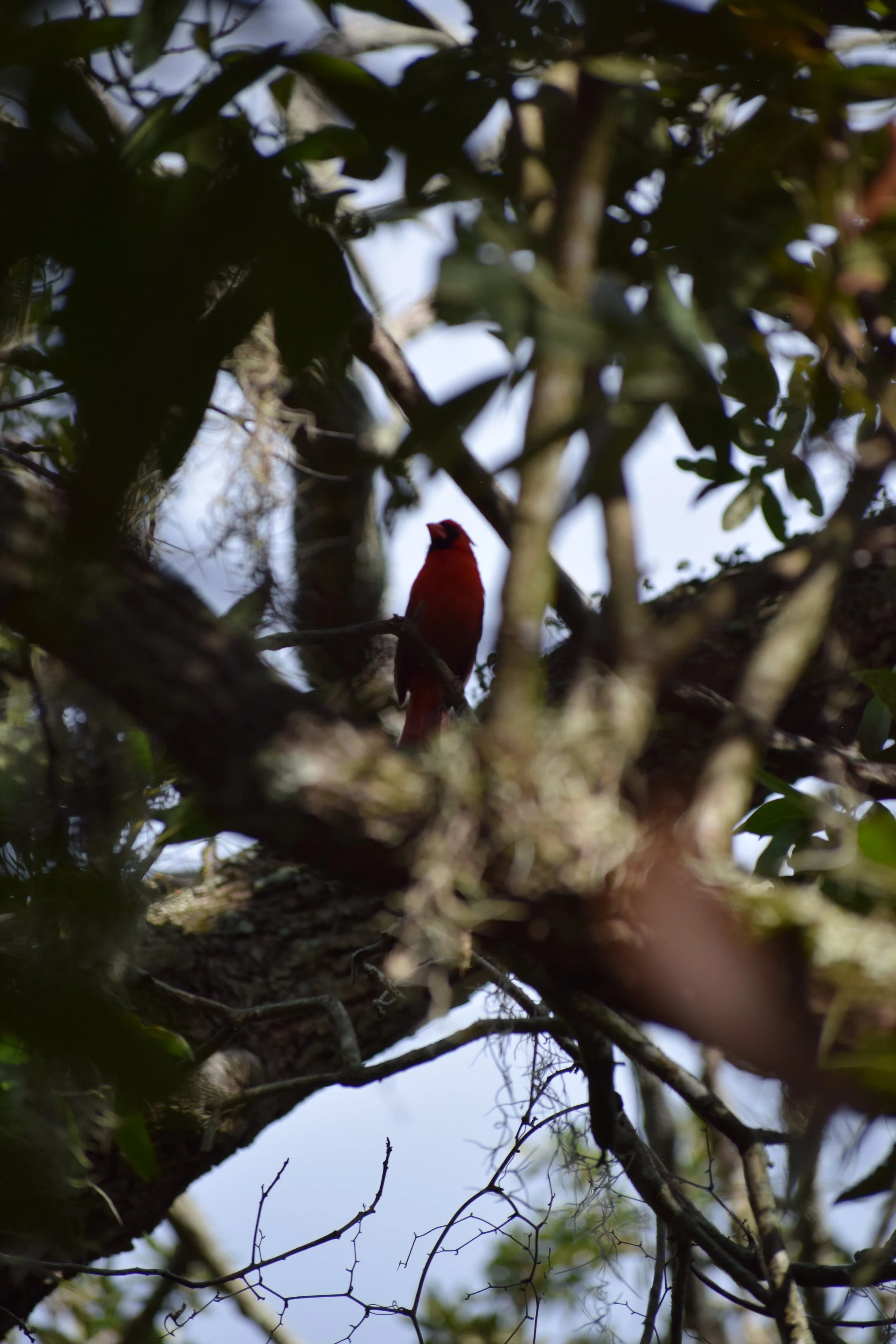 DSC_0962.JPG