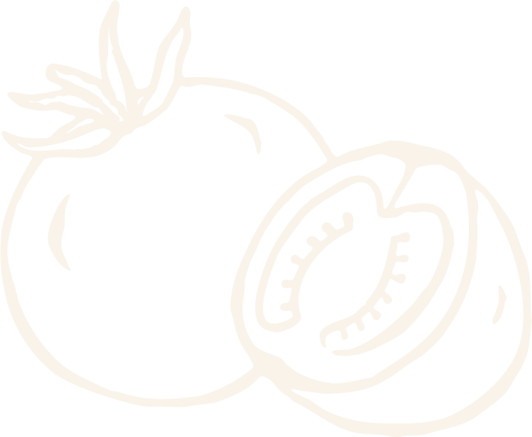 Outline drawing of a tomato, one whole and one sliced in half showing the interior with seeds and pulp.