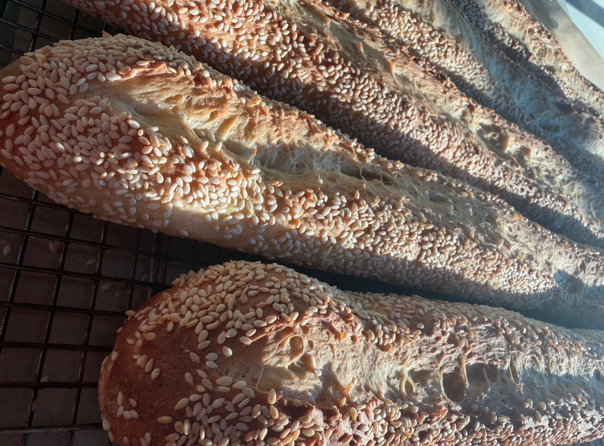 Several sesame seed-topped loaves of bread cooling on a wire rack.
