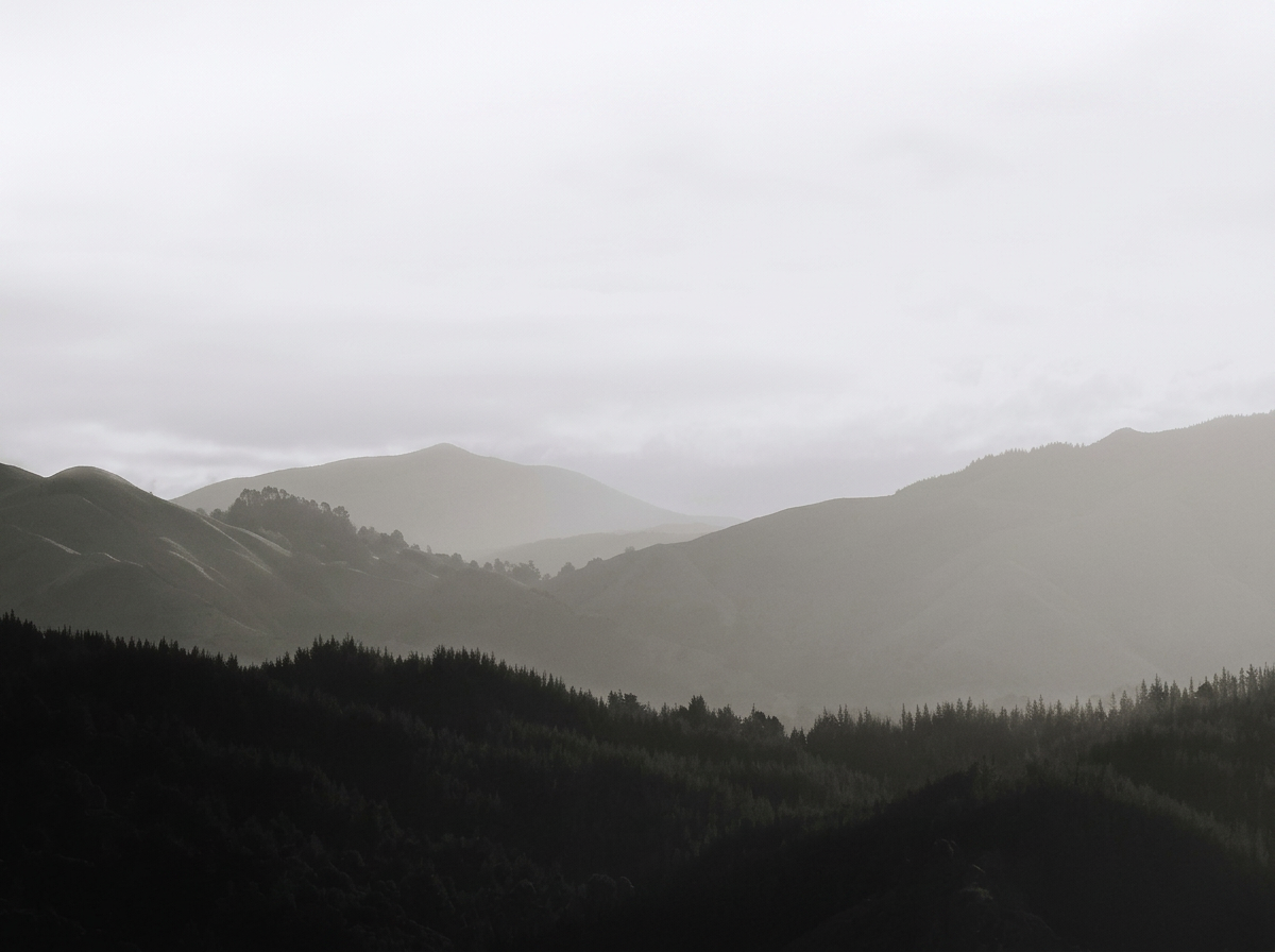 Landscape of misty mountains and dense forest with overcast sky