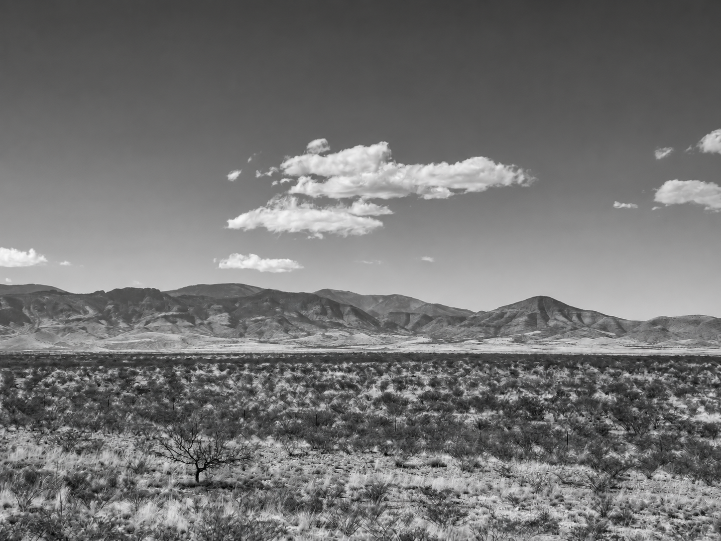 Black and white landscape of a desert with sparse vegetation, distant mountains, and a sky with scattered clouds.
