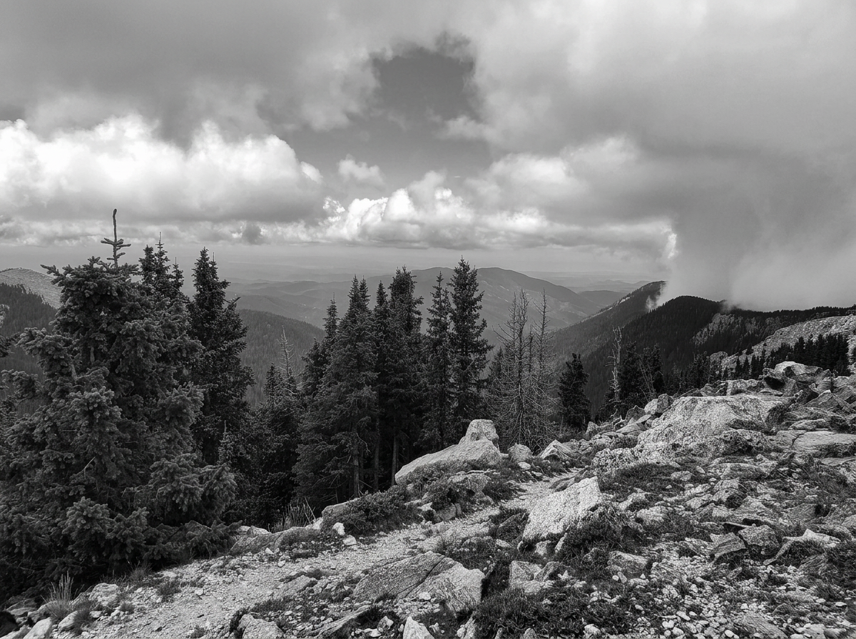 Black and white photo of a mountainous landscape with pine trees, rocky terrain, and clouds in the sky.