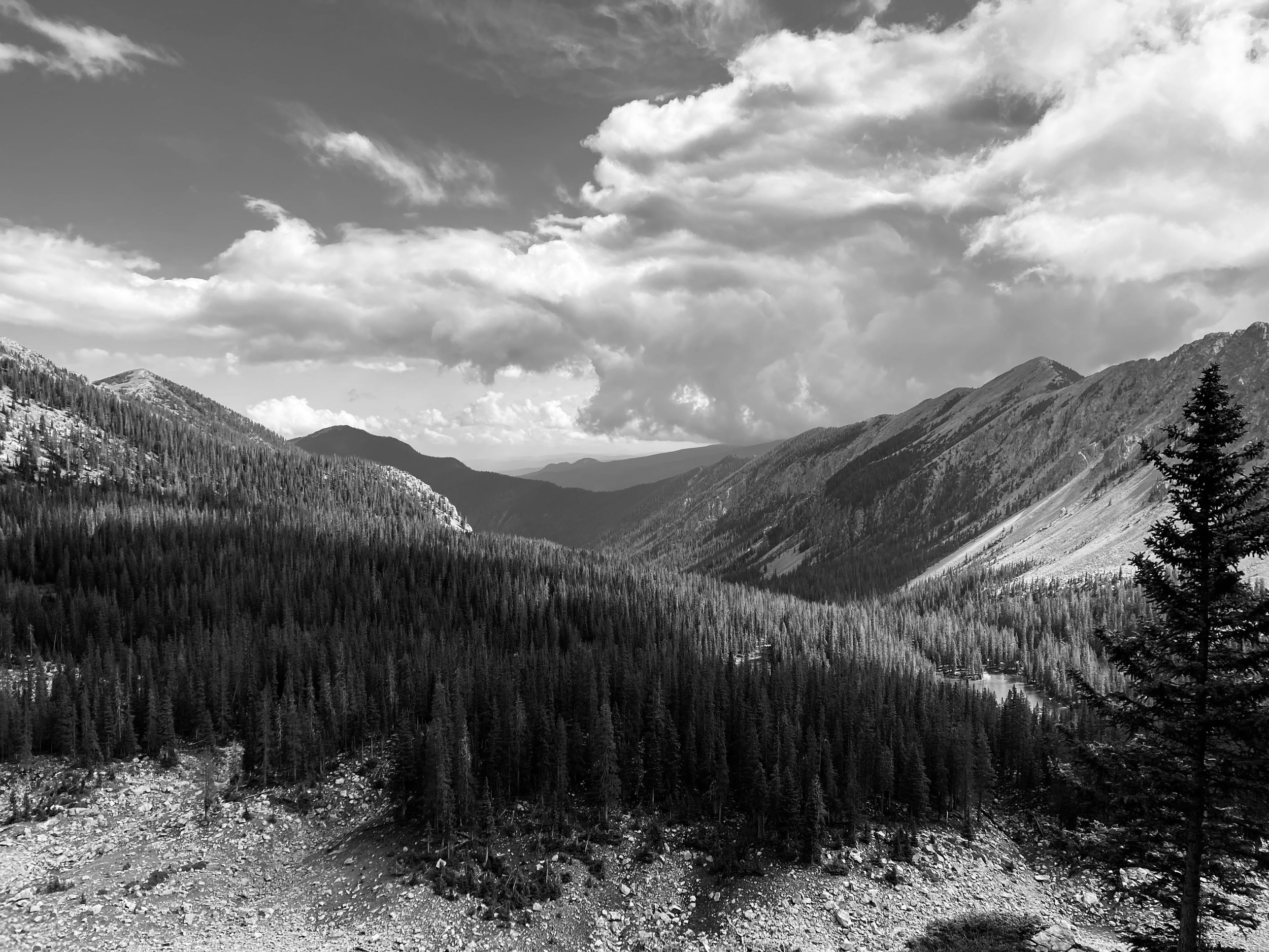 Black and white photo of a mountainous landscape with a partly cloudy sky, dense forest in the valley, and rocky terrain in the foreground.