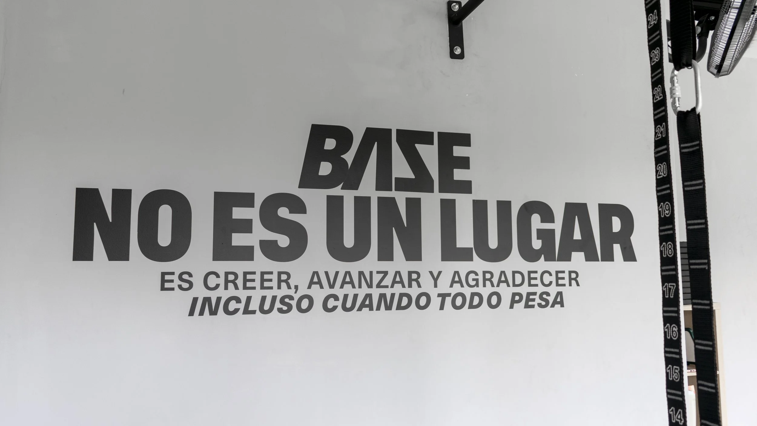 Base-14.jpg