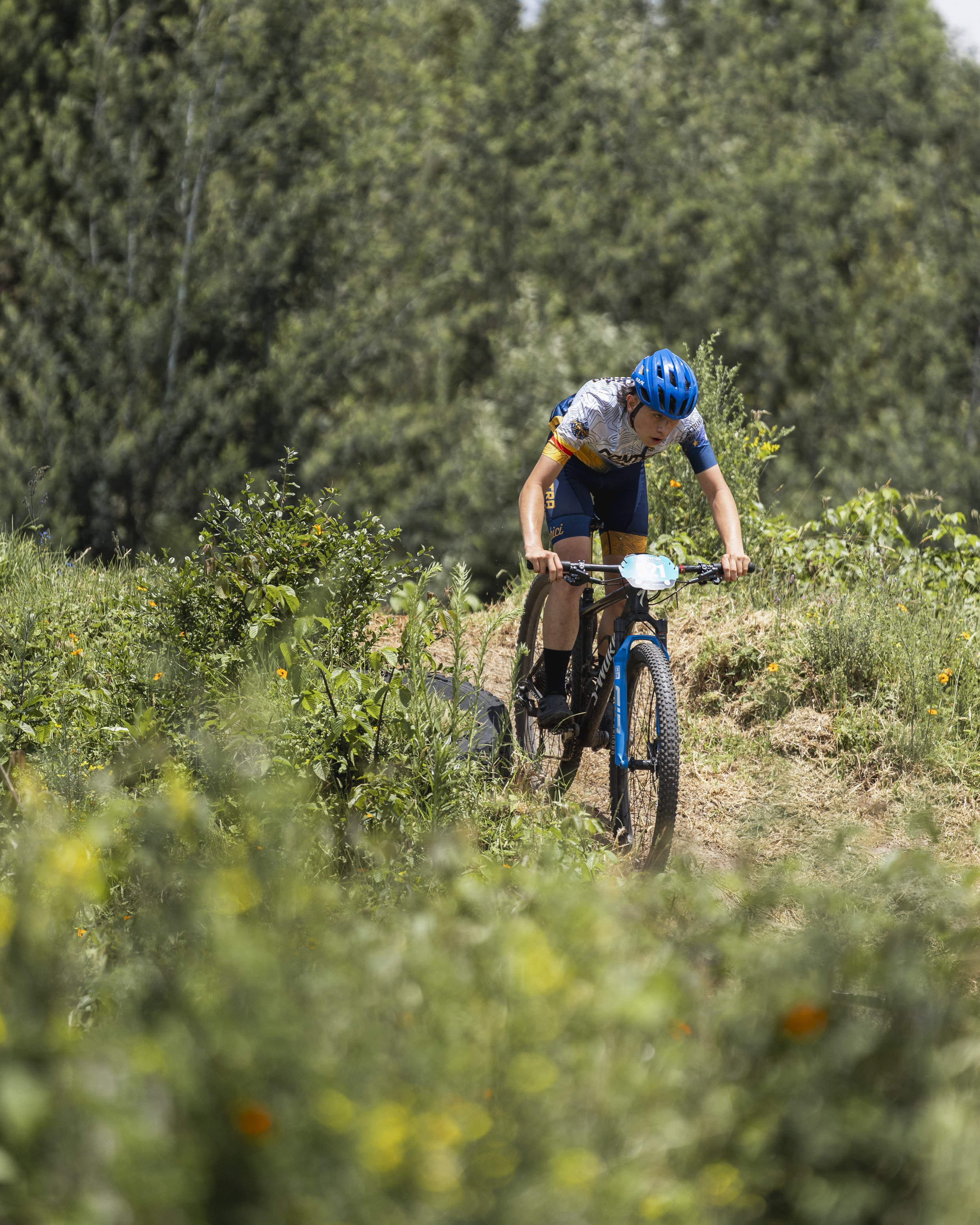 MTB-383.jpg