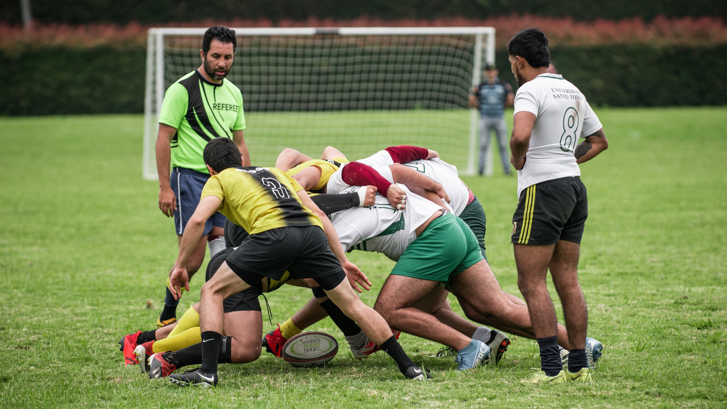U. Santo Tomas-85.jpg