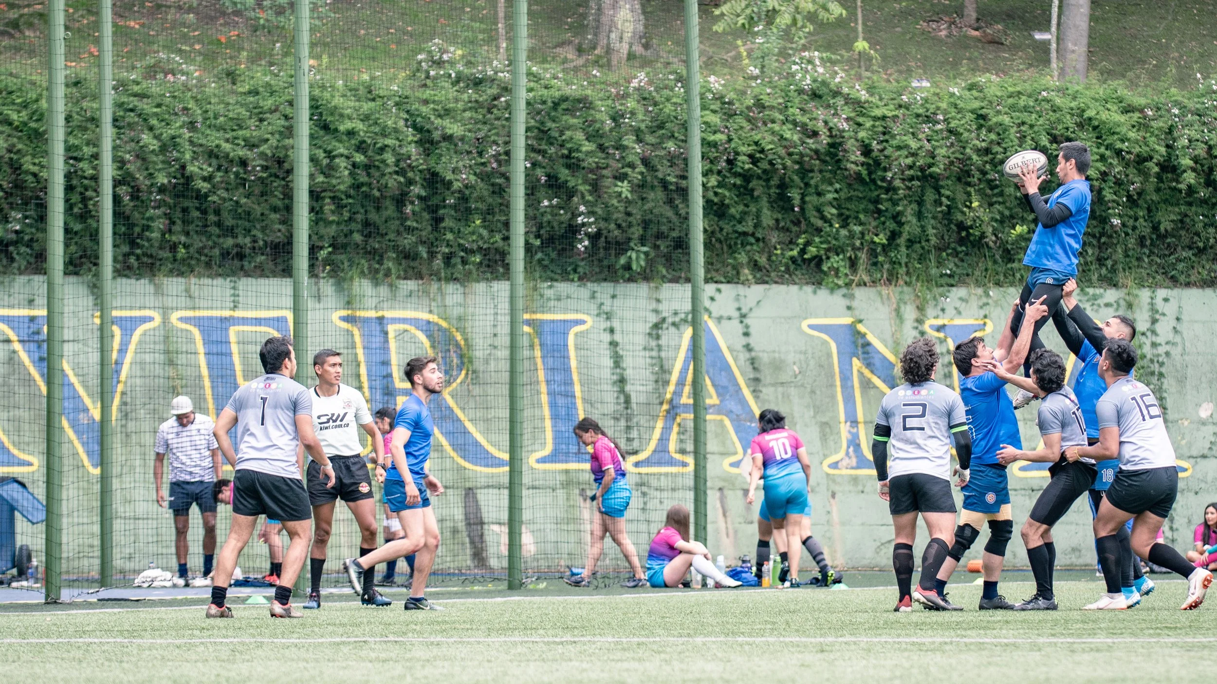 Rugby-153.jpg