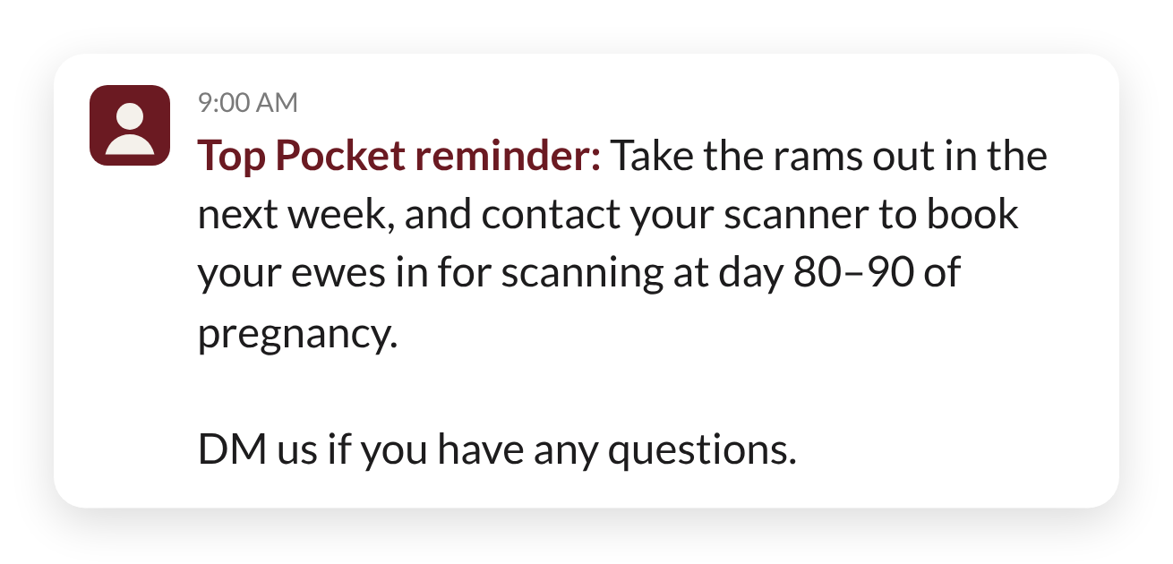 Top Pocket Example Prompt