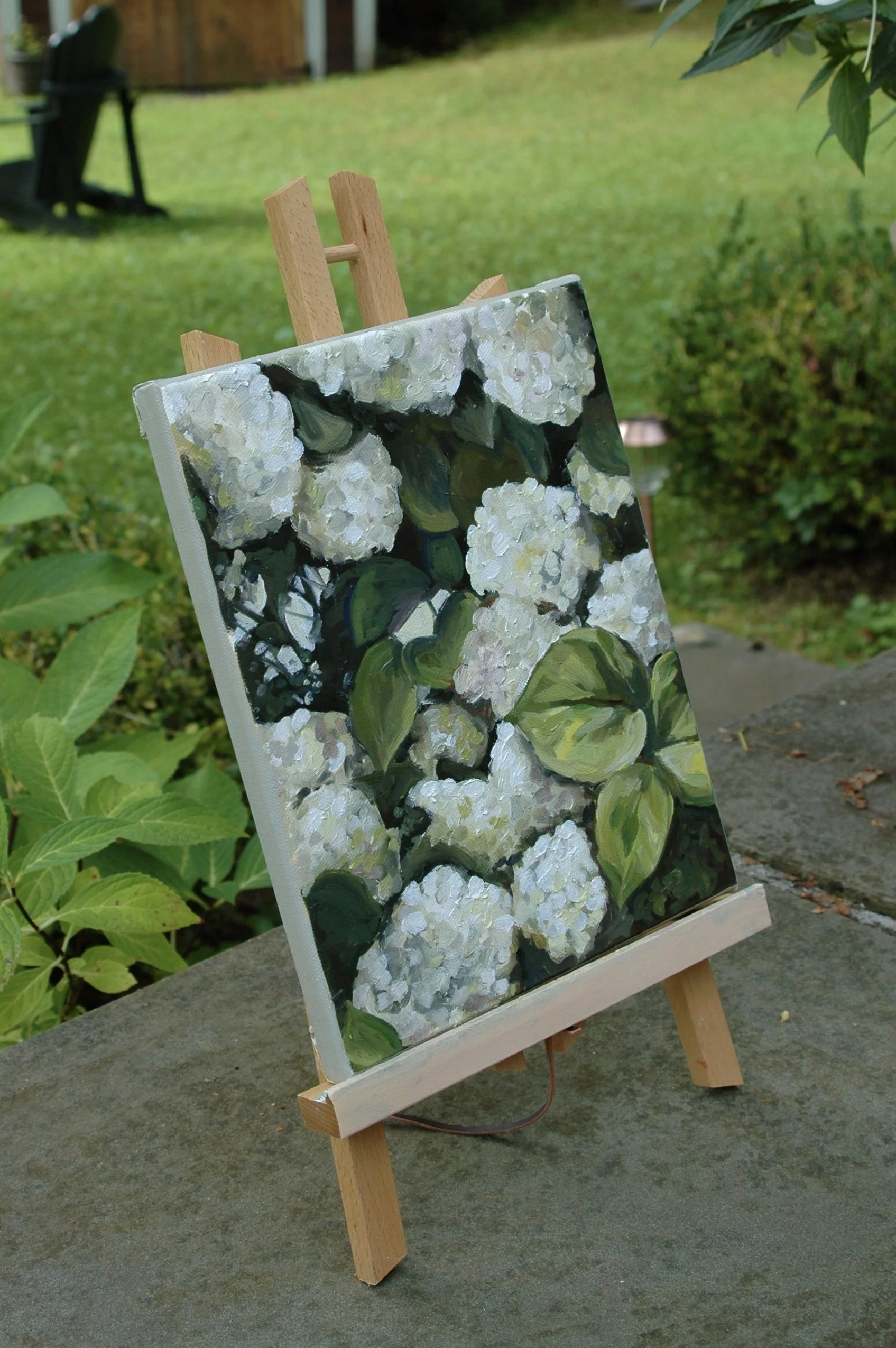 White Hydrangeas