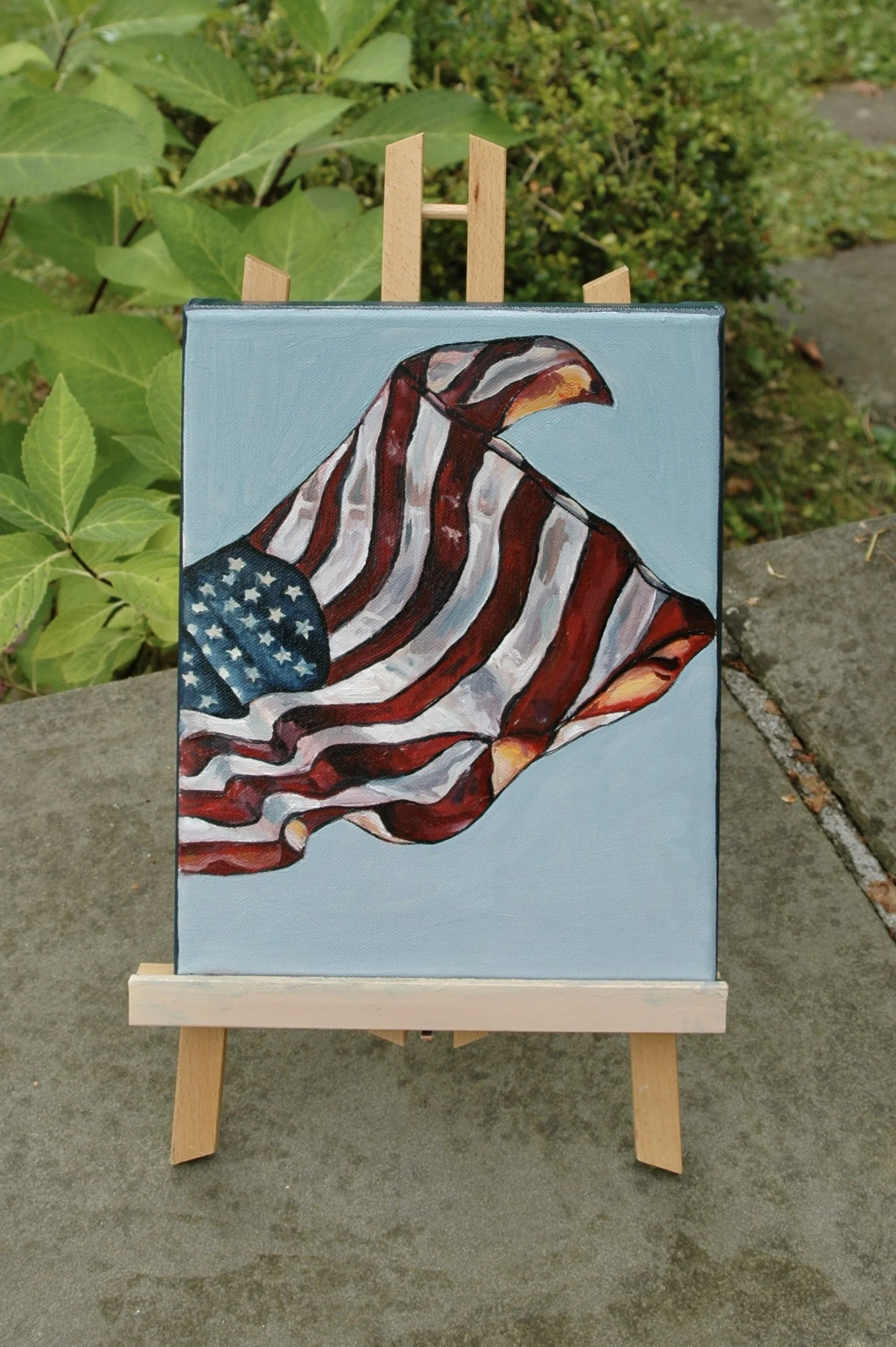 American Flag