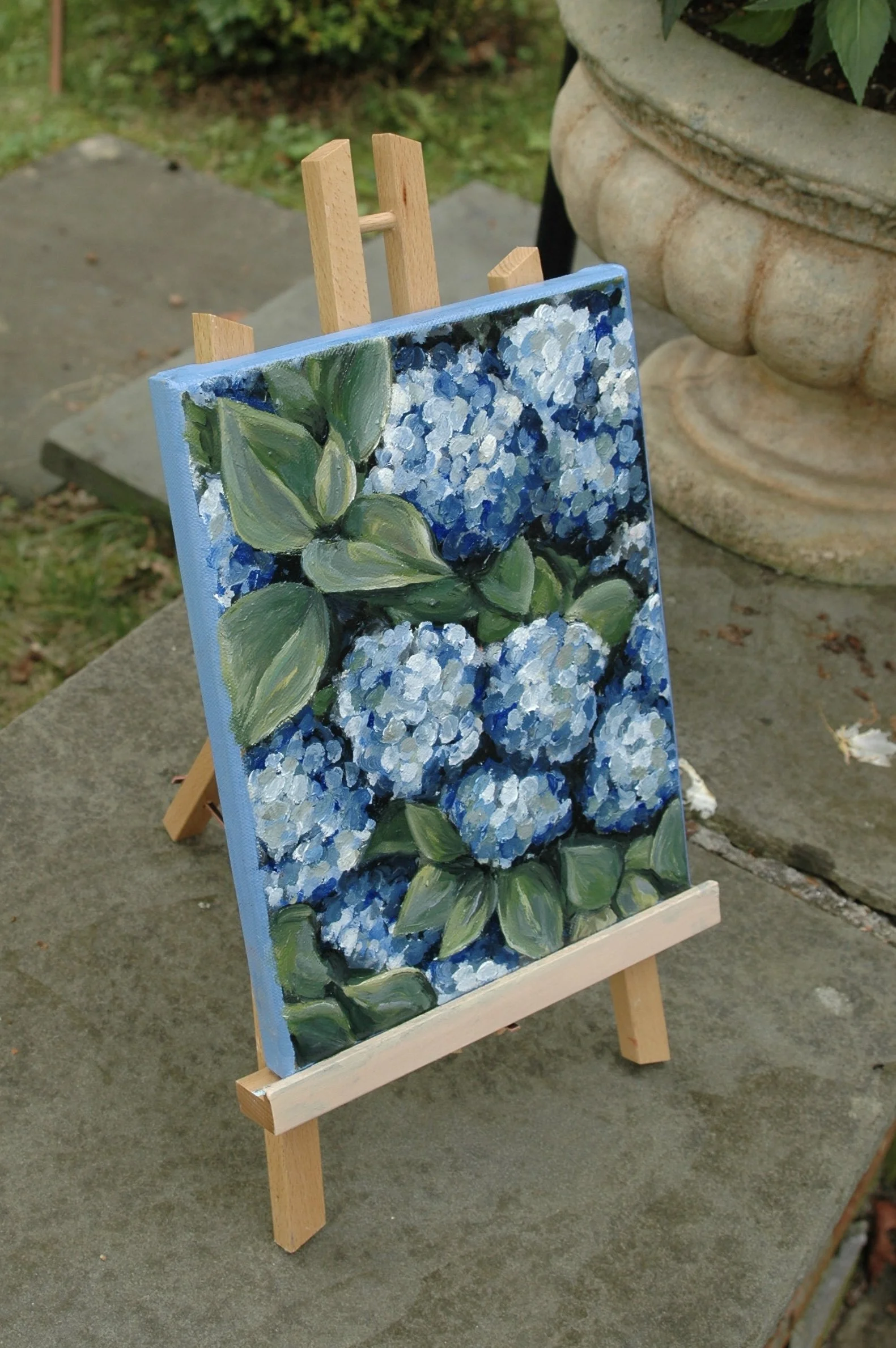 Blue Hydrangeas