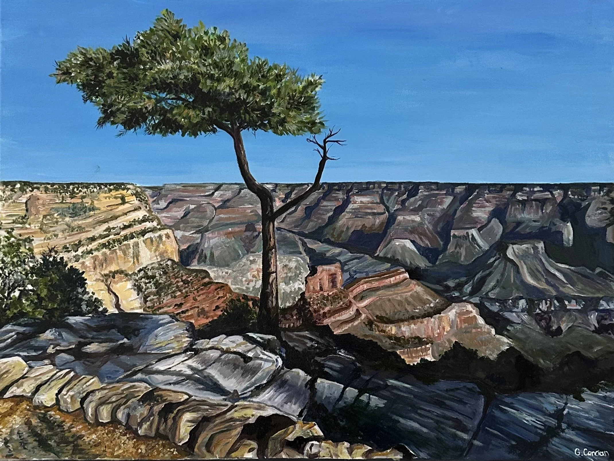 Grand Canyon Commission, Acrylic on Canvas