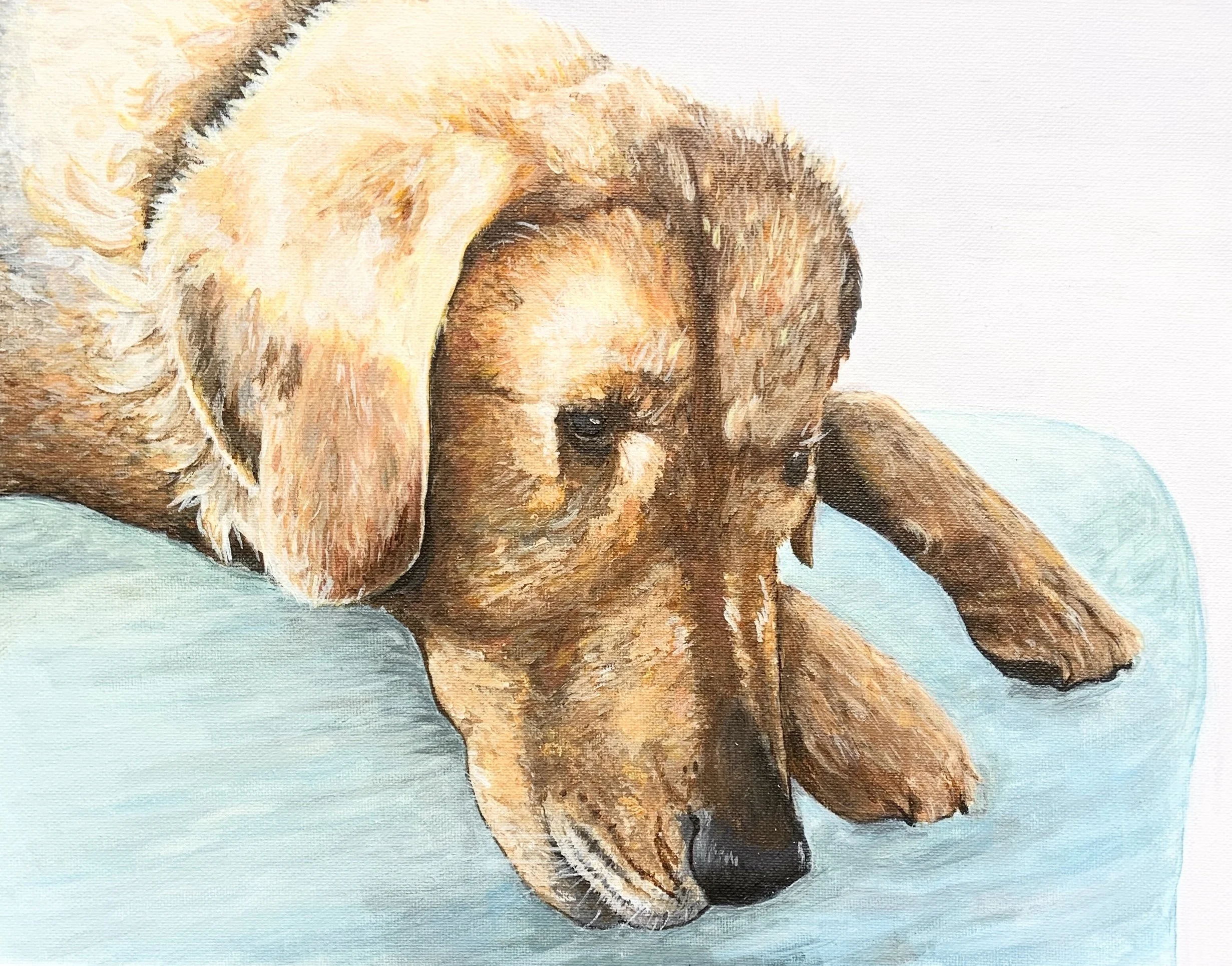 Pet Portrait Commission, Acrylic on Canvas