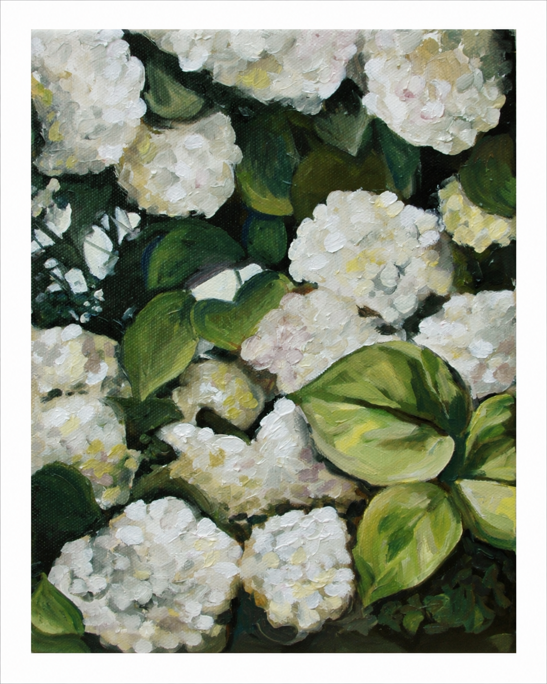 White Hydrangea Print