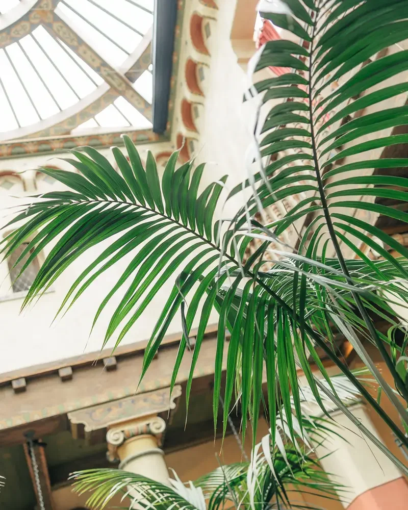 Zoe-Rae-Santa-Barbara-Photographer-Michelle-Justin-Courthouse-Elopement-2.webp
