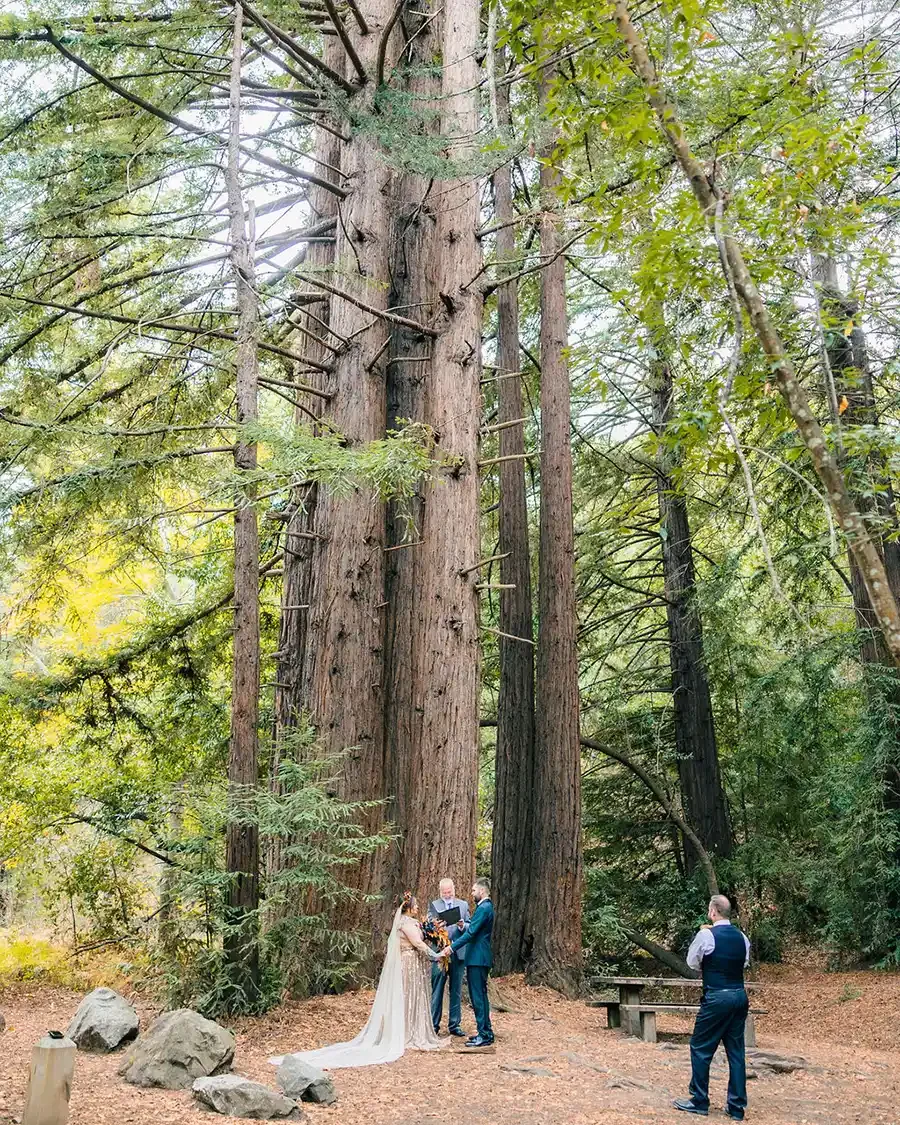 A wedding ceremony taking place outdoors among tall redwood trees. The bride and groom are holding hands while facing each other, with an officiant reading from a book. The bride is wearing a white wedding dress, and the groom is in a blue suit. A person in a suit is standing nearby, possibly a witness or photographer. The setting is natural with greenery and rocks on the ground.