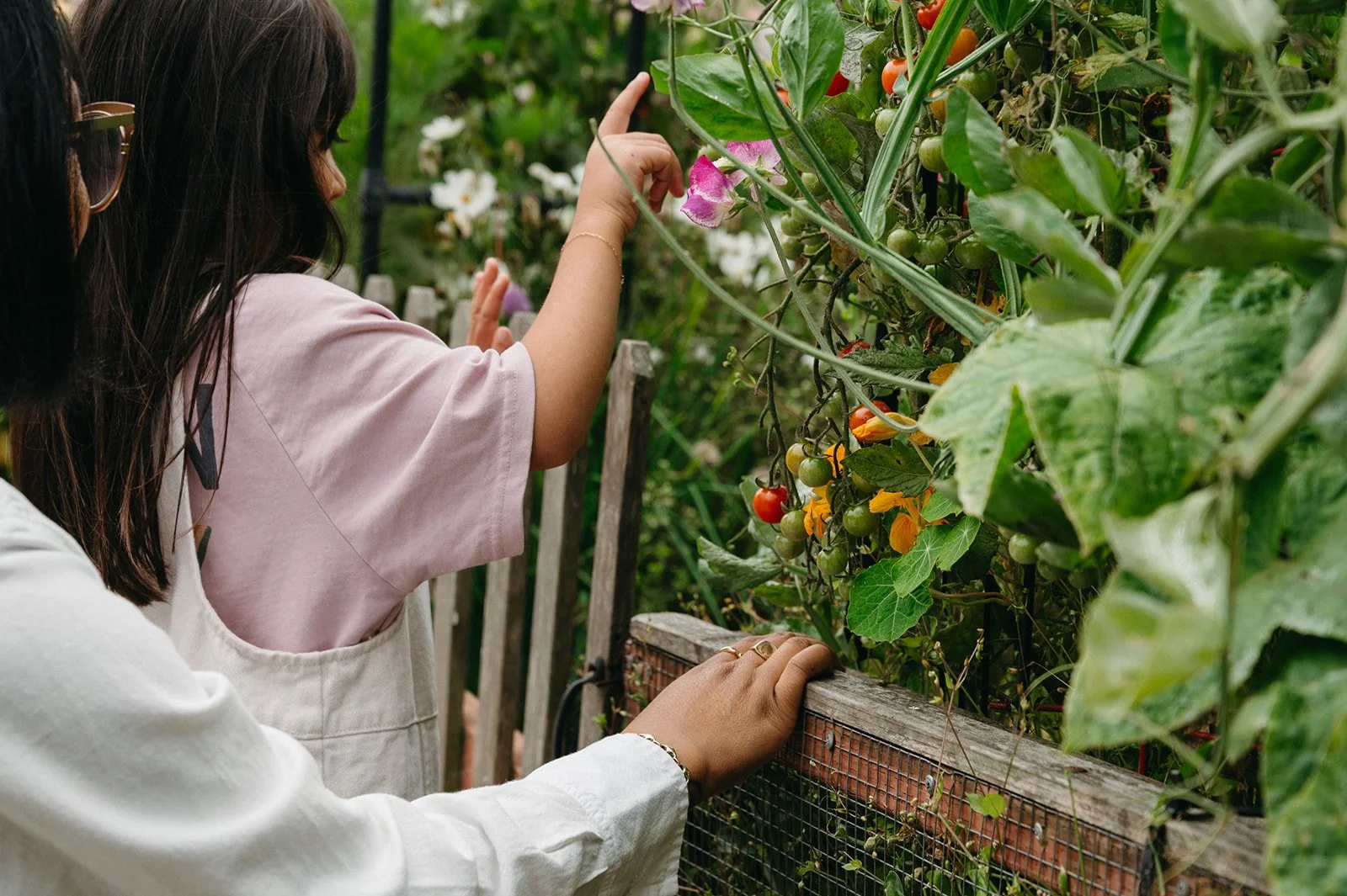 Child reaching up to explore flowering plants in the garden at Little Eden preschool in San Francisco