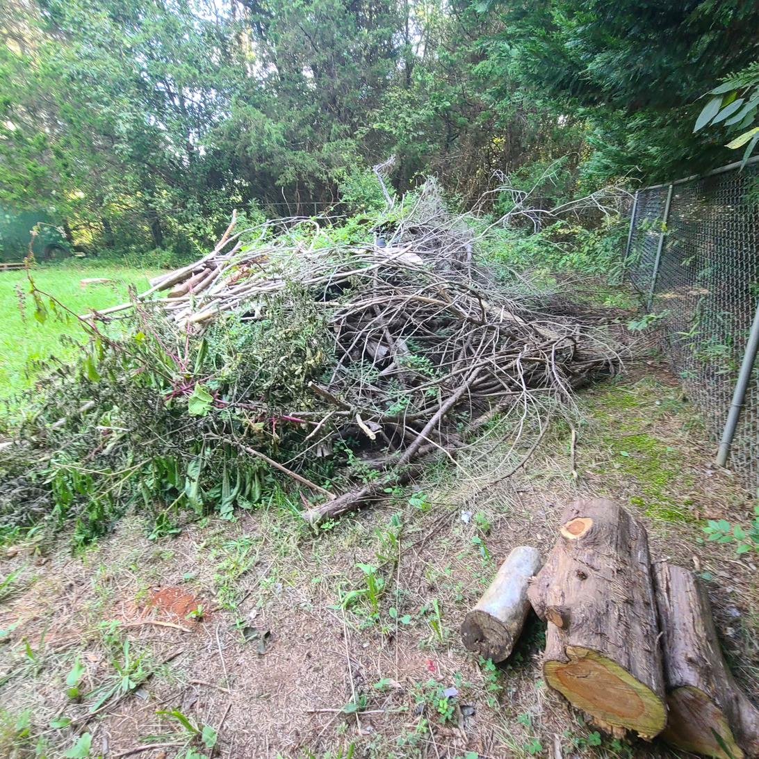 Pile of cut tree branches and logs ready for yard debris removal in Memphis, TN.