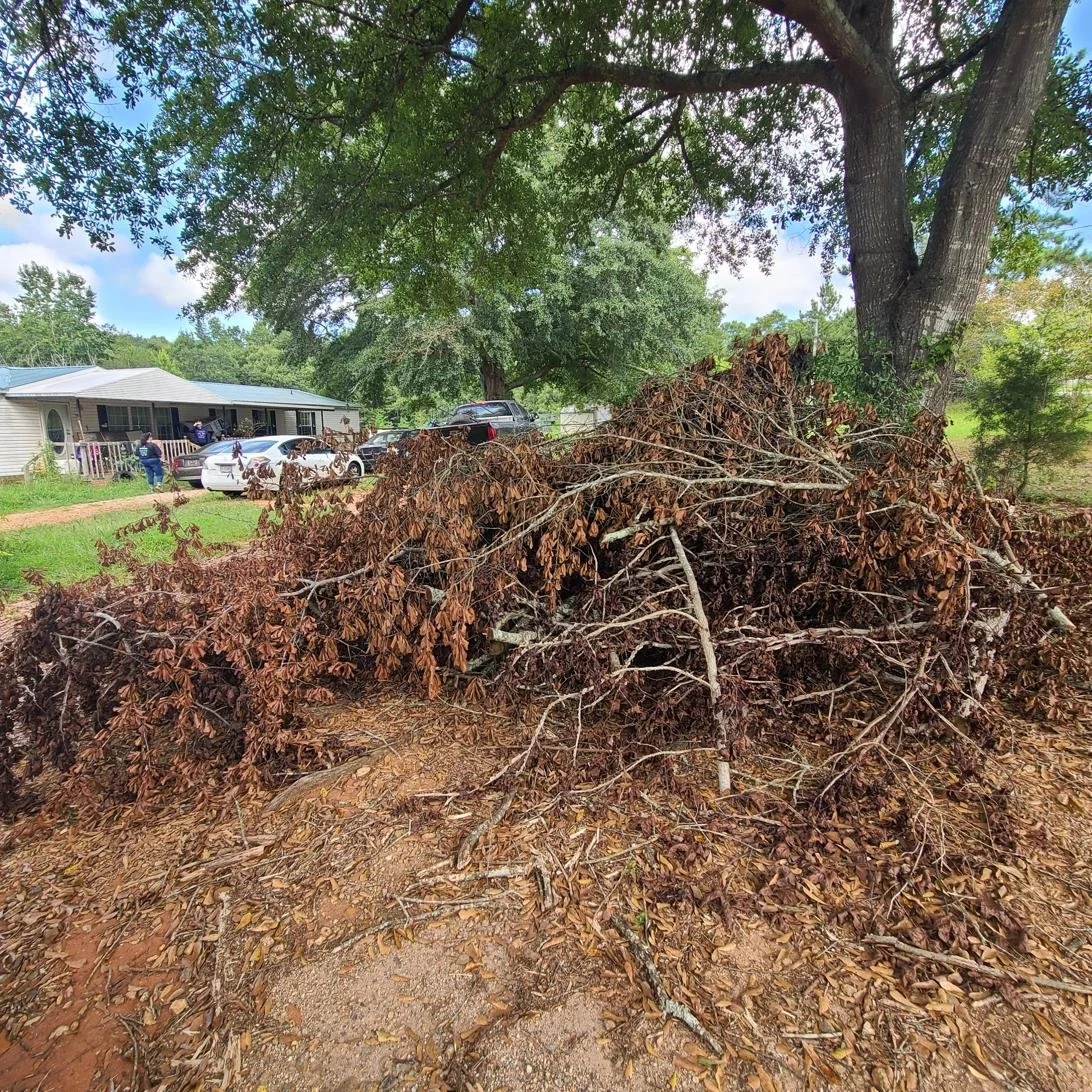 Large pile of dead leaves and branches before a yard debris removal service in Memphis, TN.