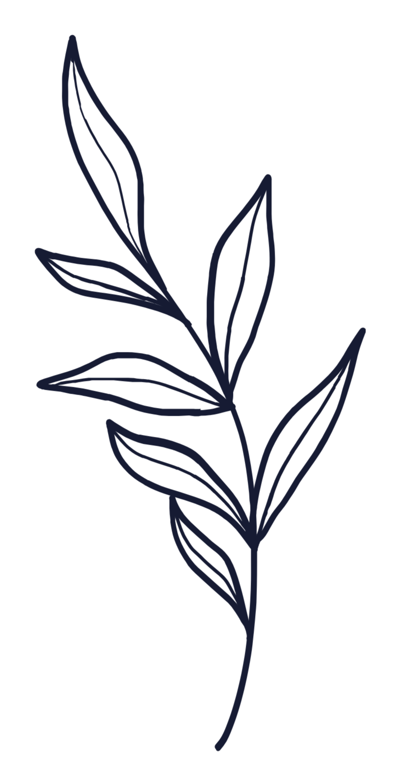 black stem with leaves