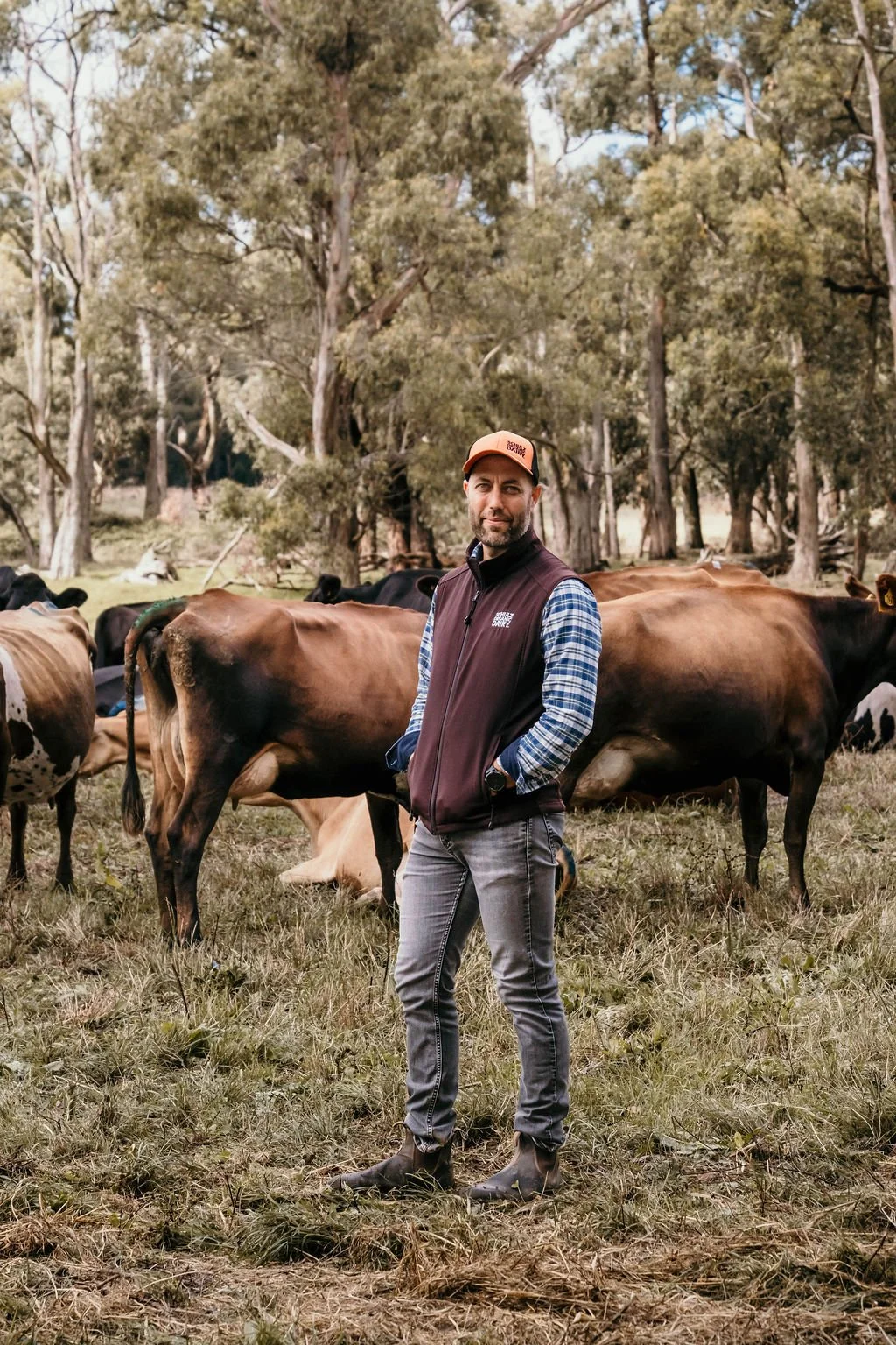 Schulz Organic Dairy