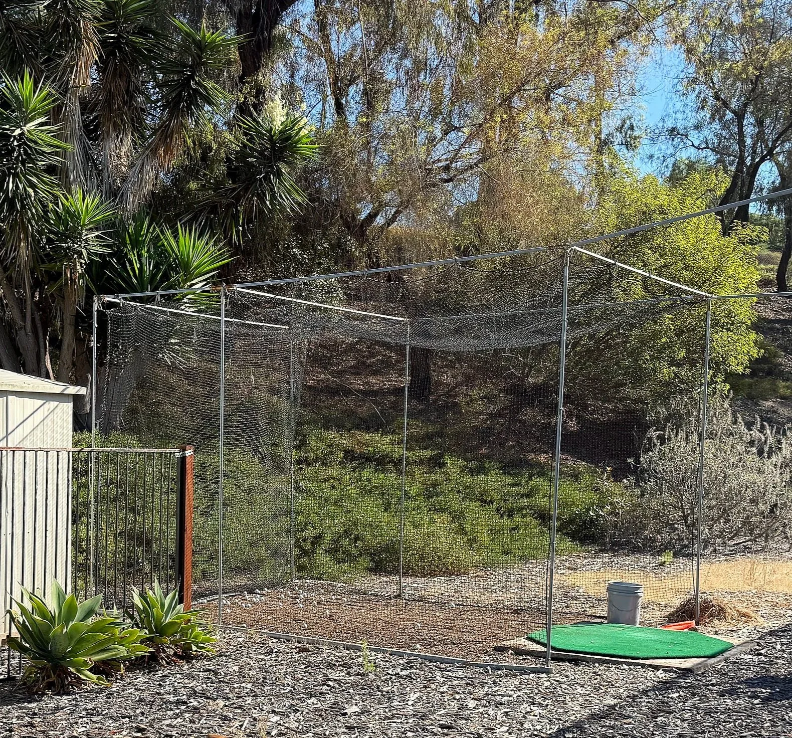 A fenced-off outdoor area with a green turf mat on the ground, surrounded by trees and bushes, with a blue sky overhead.