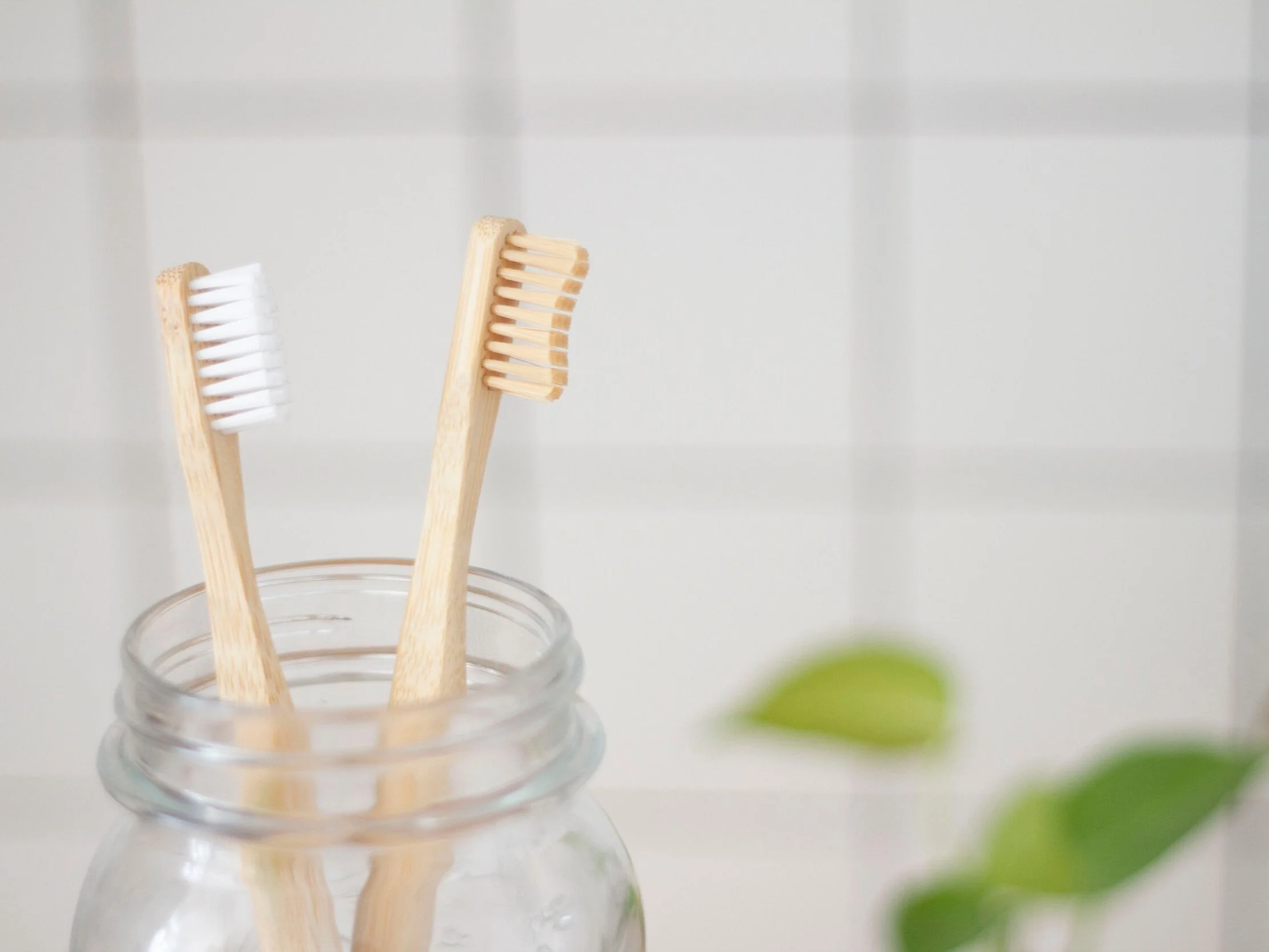 Bamboo ToothbrushI recently made the swap to bamboo toothbrushes when my (not so) trusty electric toothbrush broke. Bamboo is sustainable and biodegradable so you can compost the handle (just remove the bristles). I’ve seen them on sale in supermark…