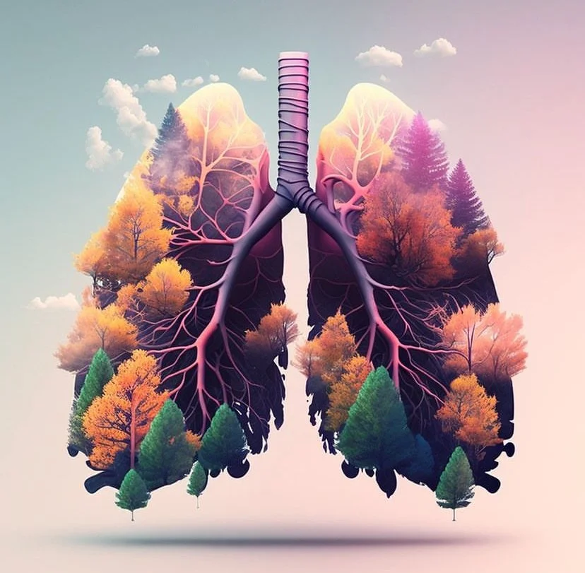 Breath Awareness
