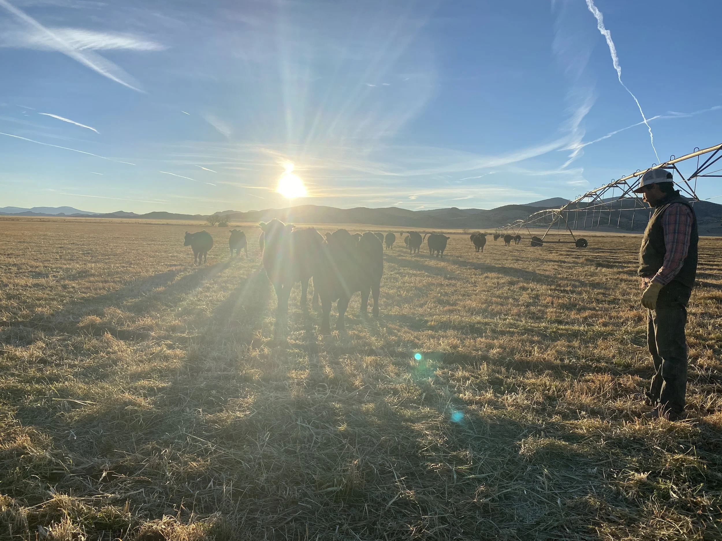 LMFC_Sweet_Grass_Ranch_2022.JPG