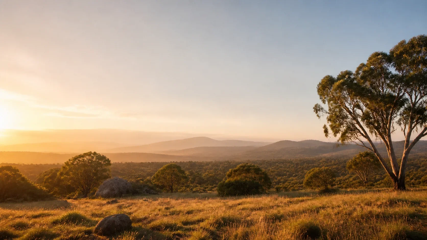 Sunset over rolling hills with trees and grassy field in foreground