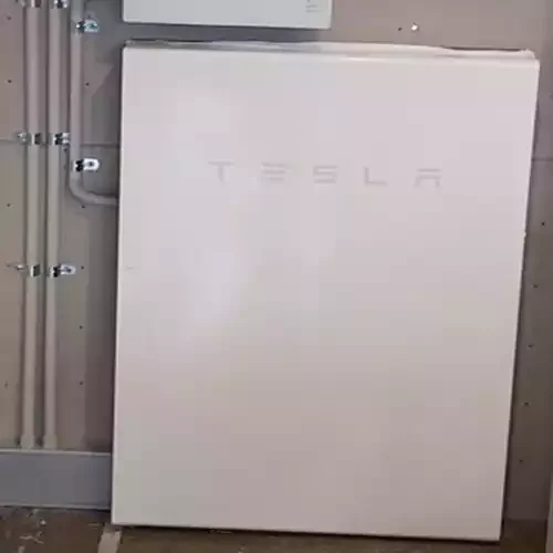 DanielFisherTesla.webp