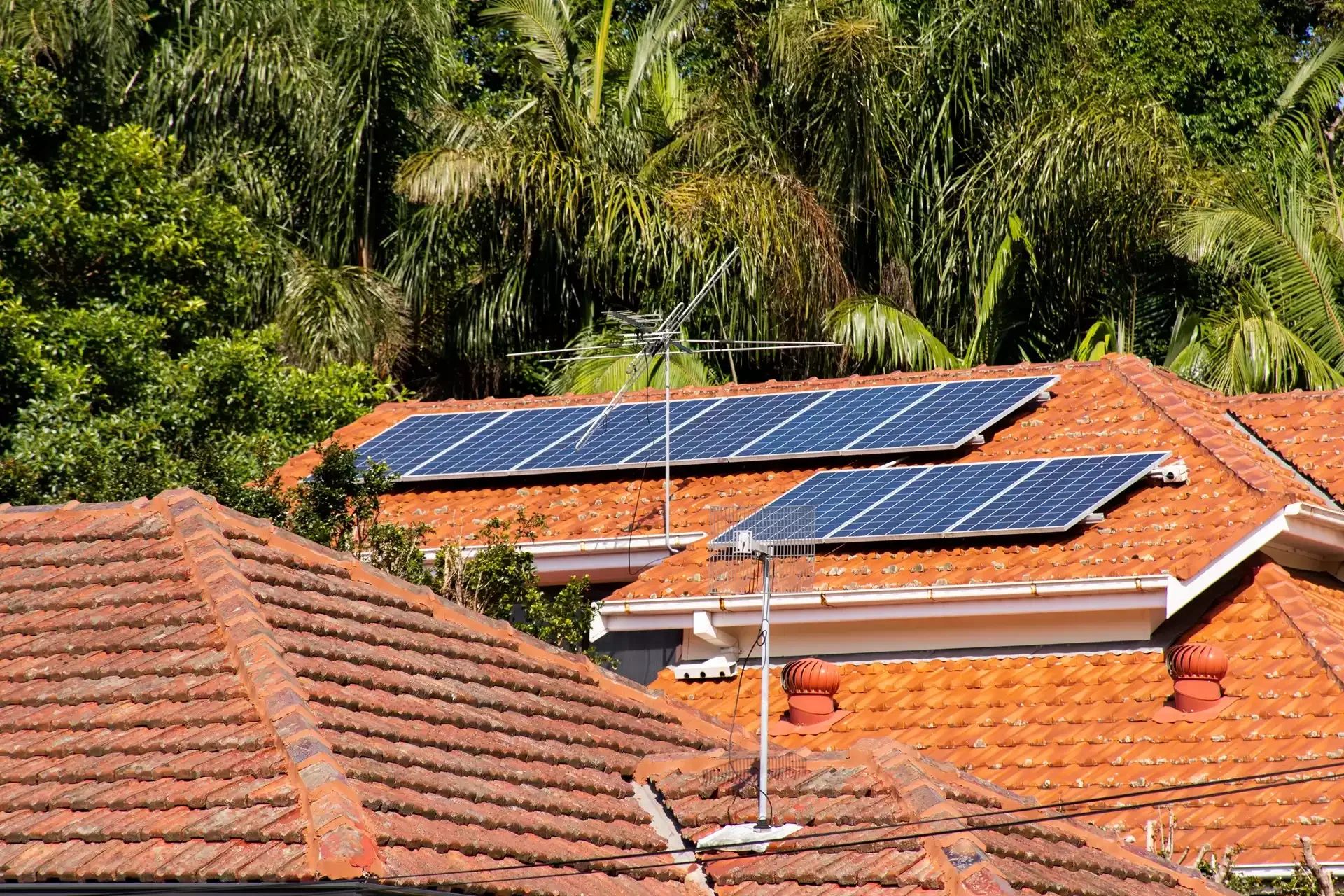 Roofs with solar panels and an antenna on a house, surrounded by lush greenery and tall trees.