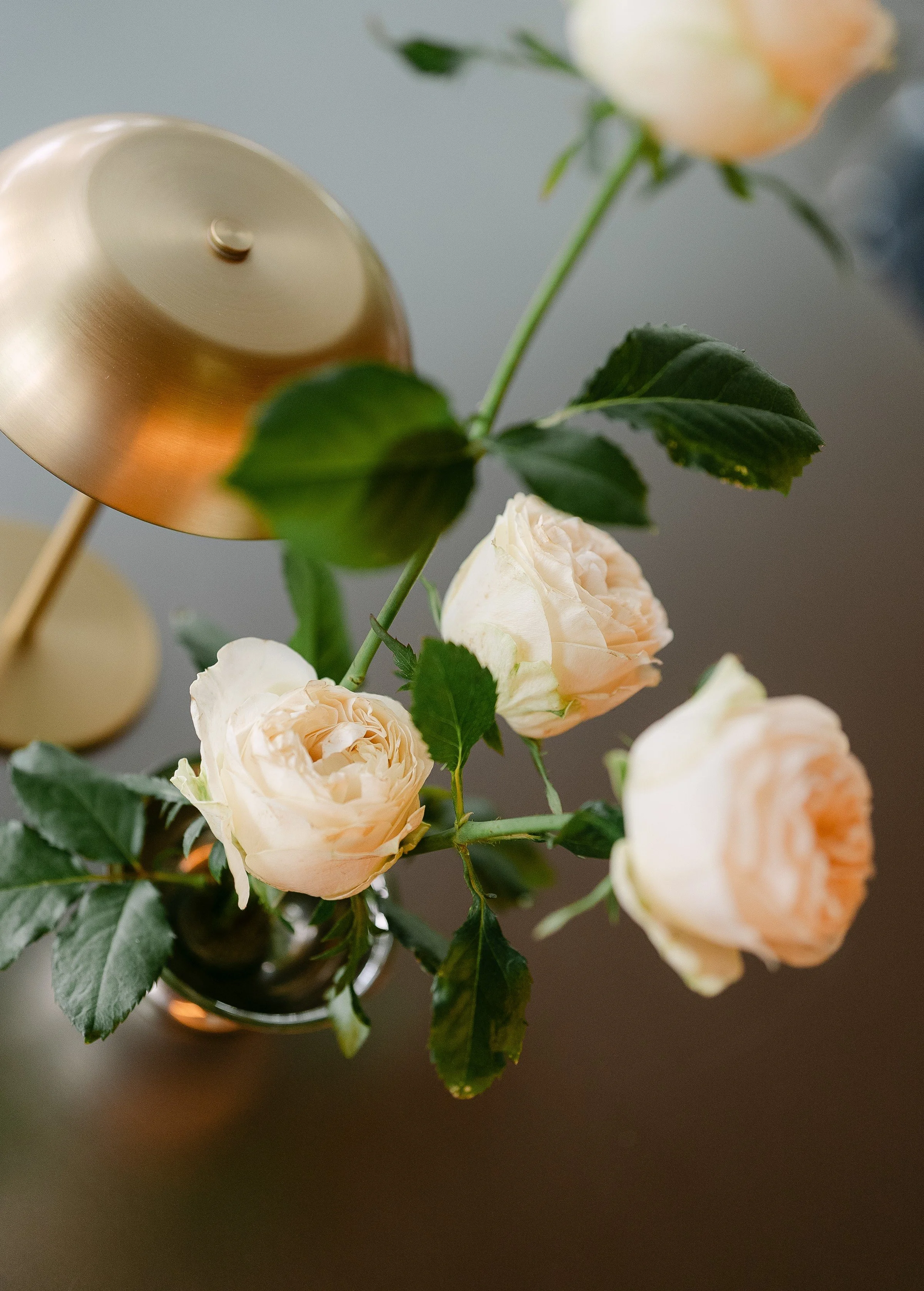 Annabelle & William-Hygge Studio-Photographed by Arne Studio-12.jpg