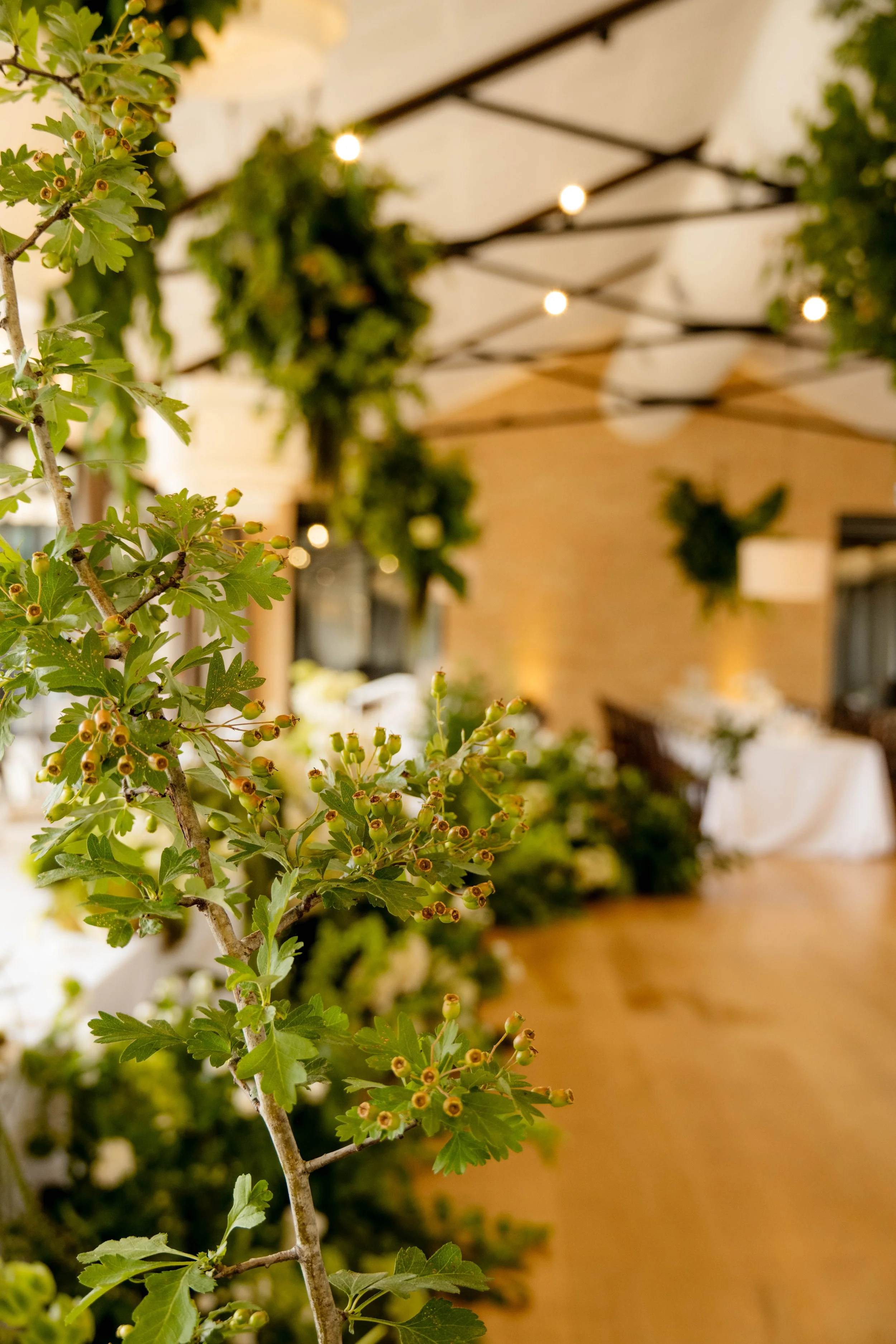 Hygge_Studio_Kingsford_The_Barossa_112024_Jack_Fenby_DSC_0191.jpg