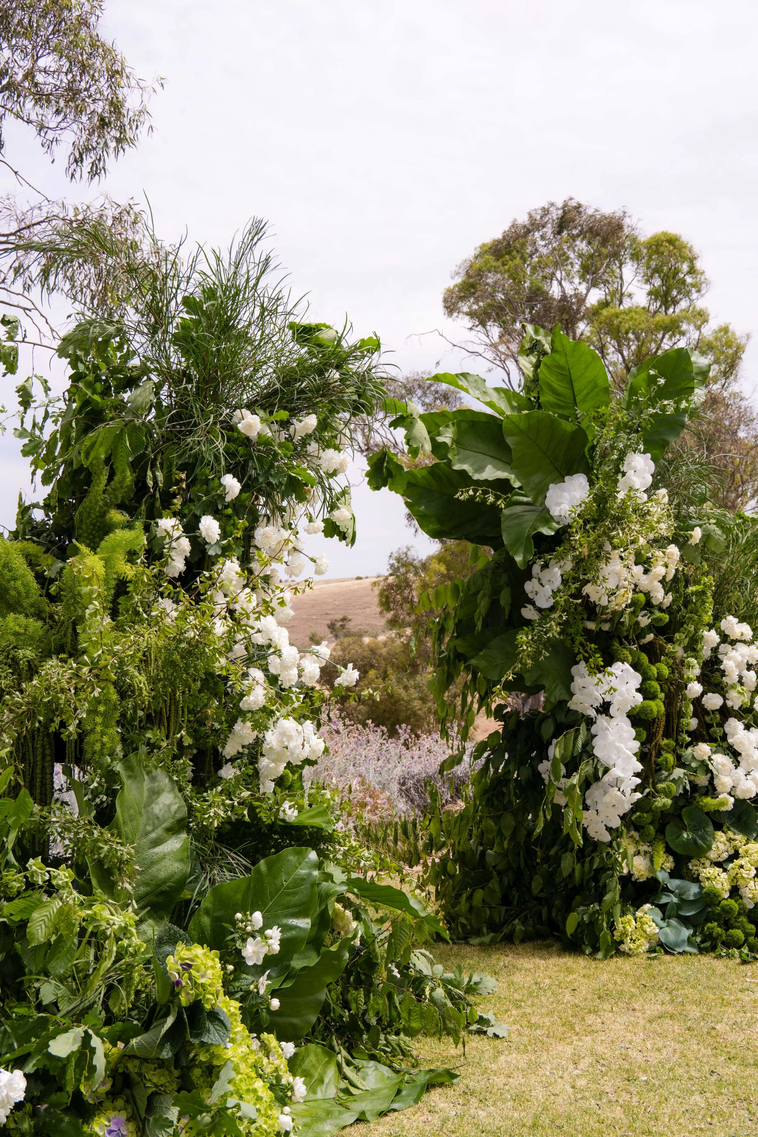 Hygge_Studio_Kingsford_The_Barossa_112024_Jack_Fenby_DSC_9976.jpg