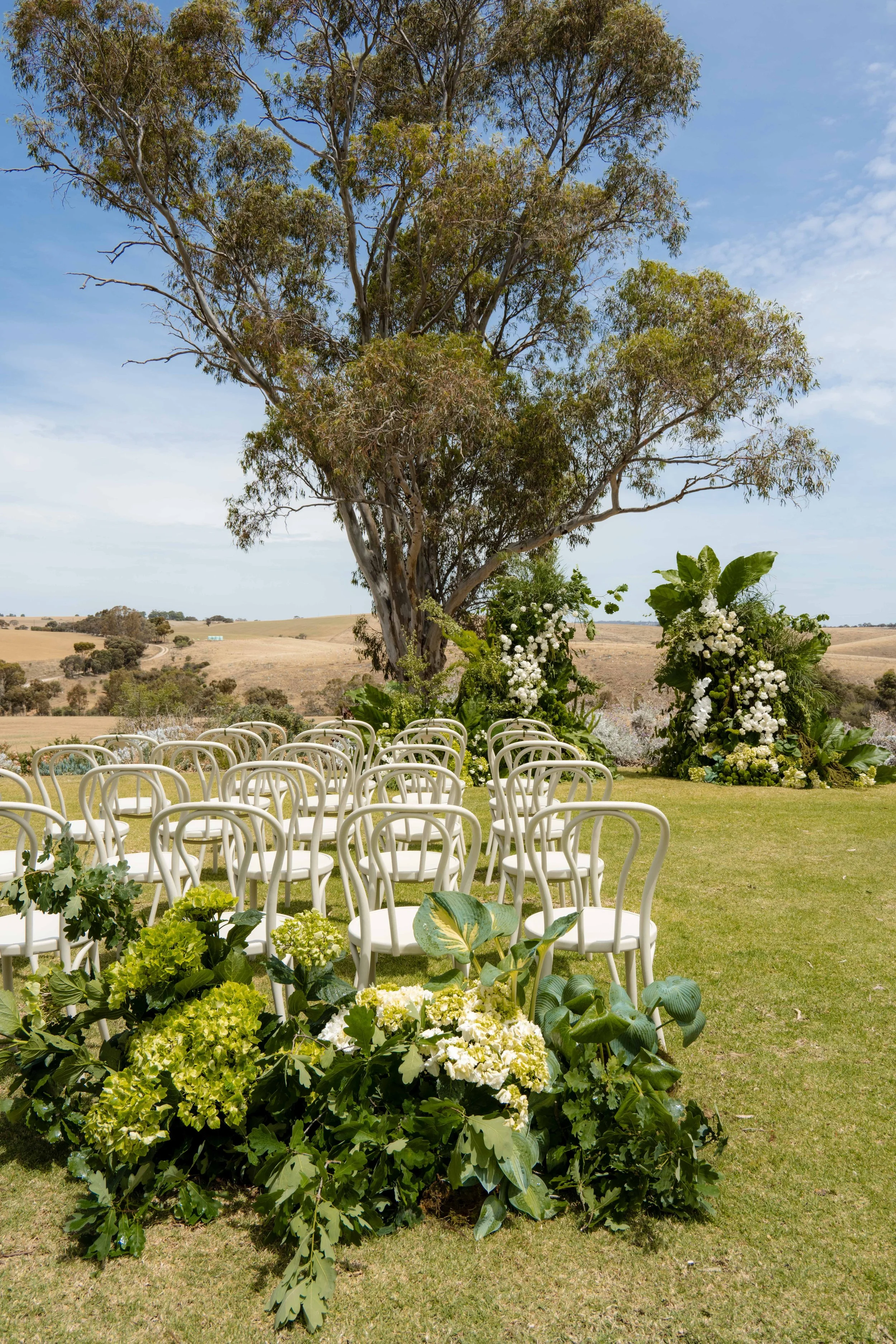 Hygge_Studio_Kingsford_The_Barossa_112024_Jack_Fenby_DSC_9953.jpg
