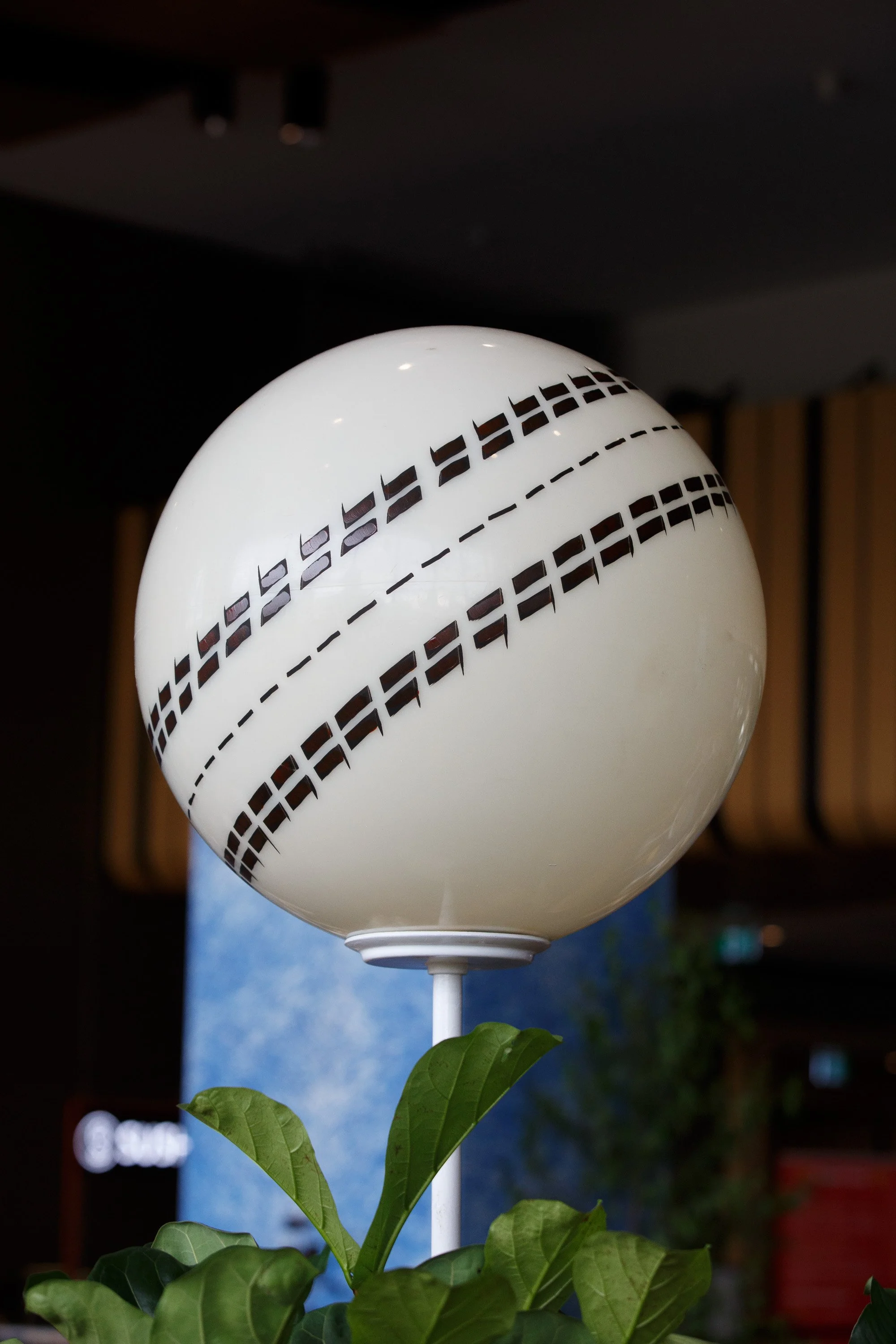 2024.12.06-DEH_AdelaideOval-190.jpg