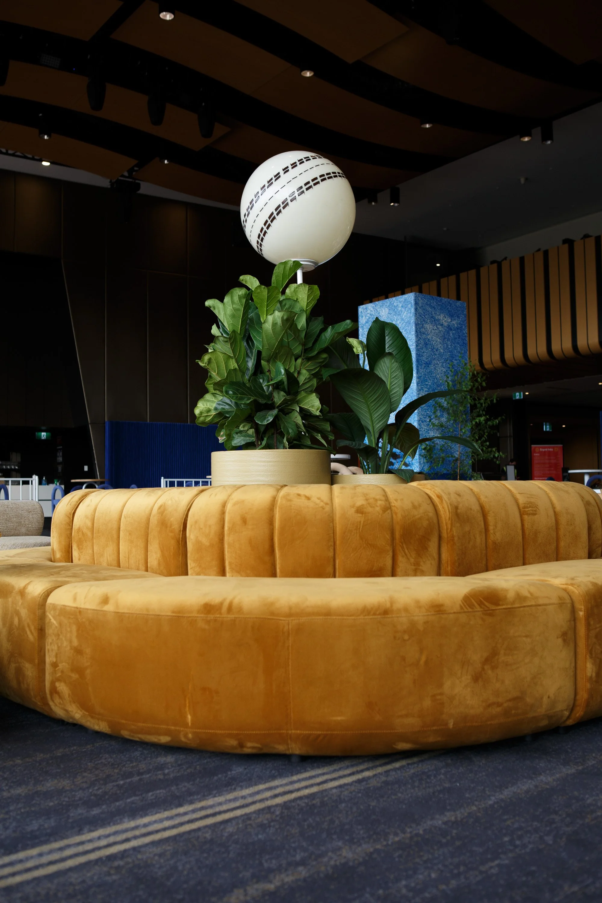 2024.12.06-DEH_AdelaideOval-66.jpg