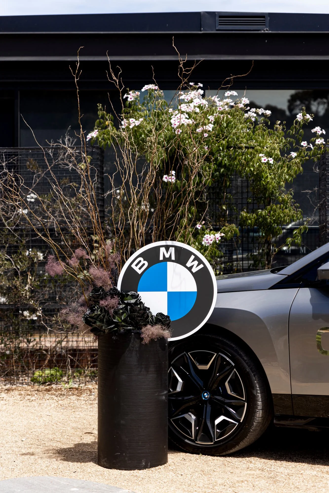 Glenelg BMW