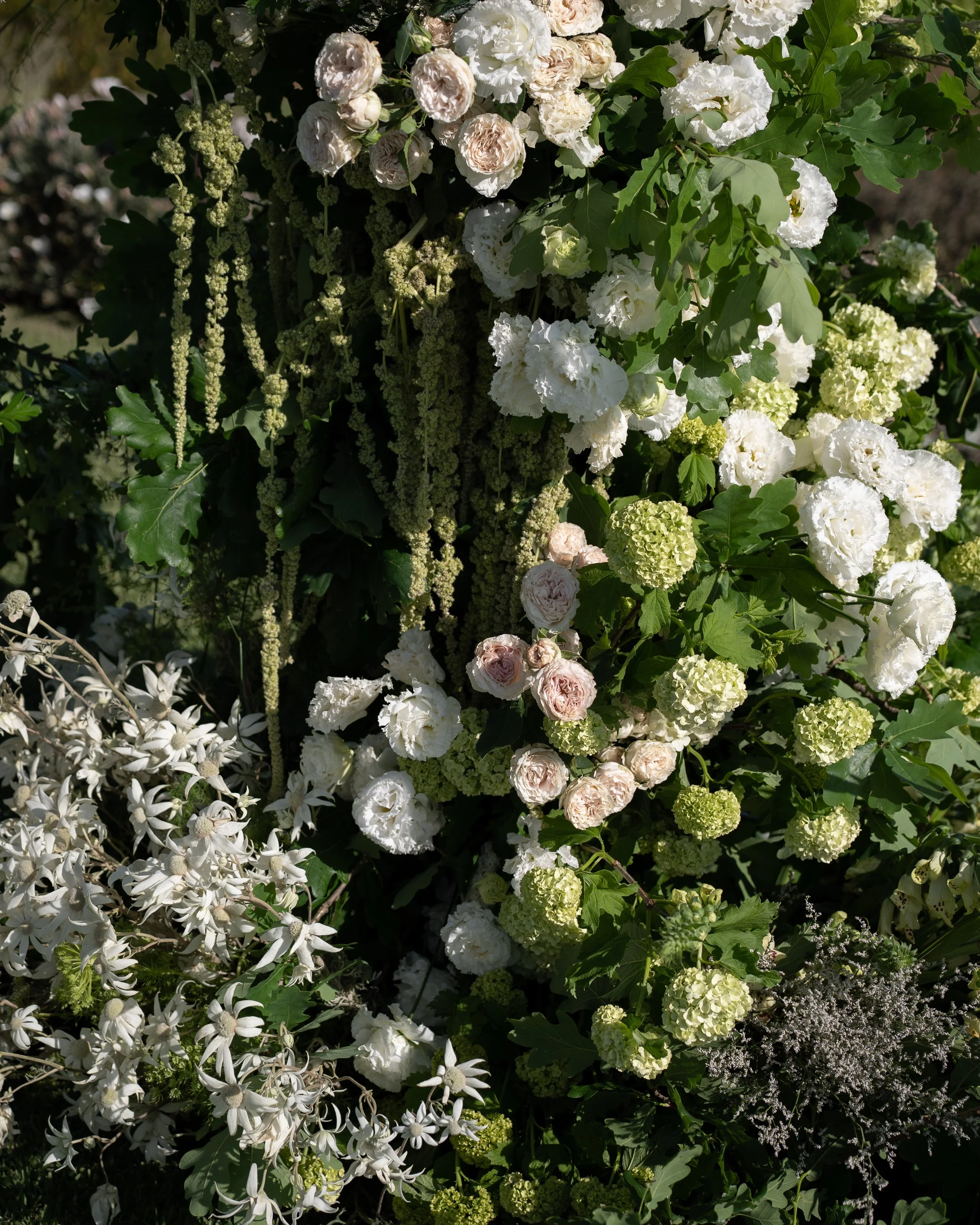 Isabella and Josh_Studio Philo_37.JPG